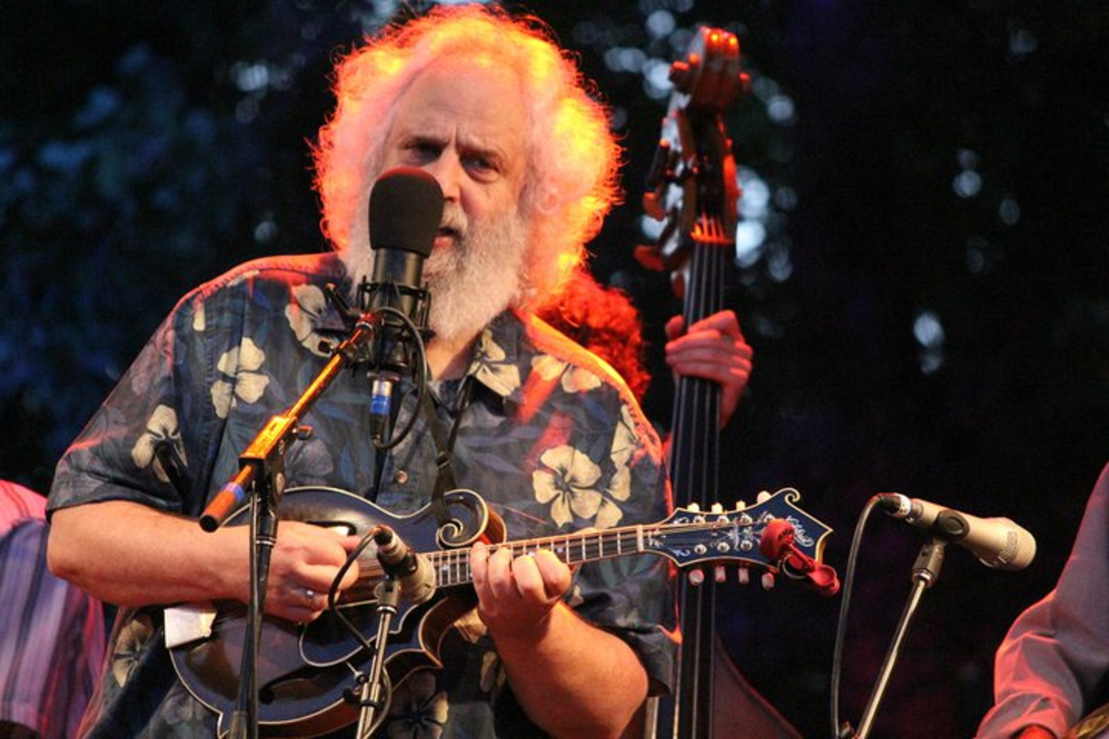 David Grisman Bluegrass Experience | Boulder Theater | Review