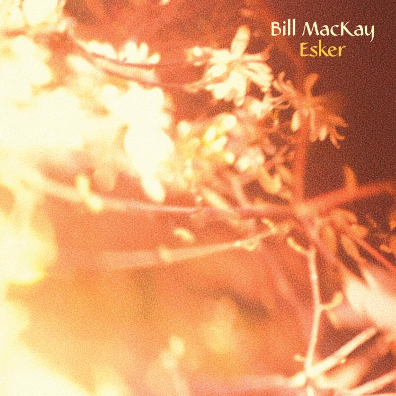 Bill MacKay's "Aster" Streets May 5th