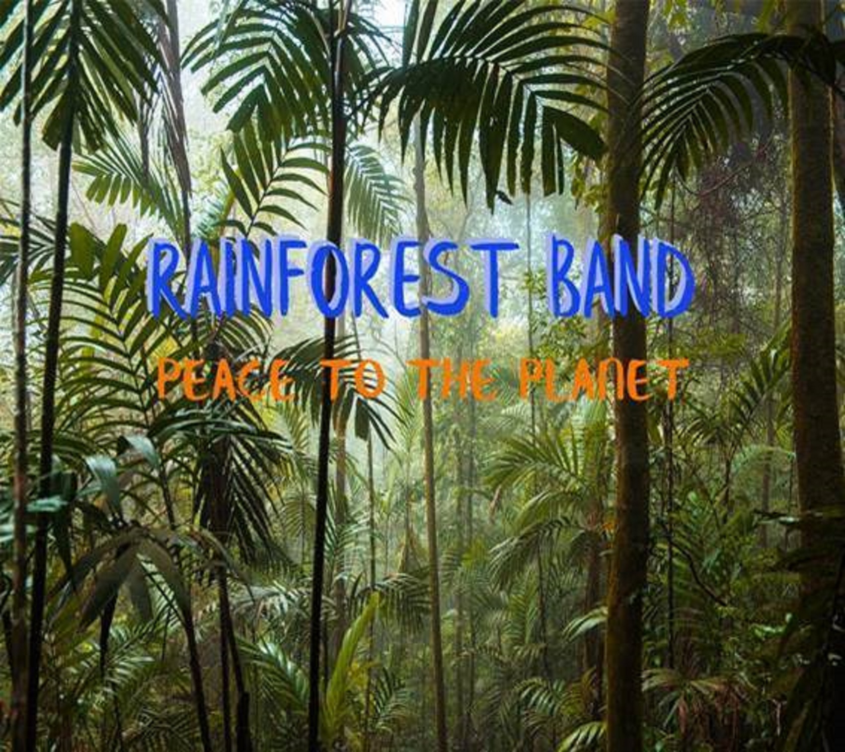 Rainforest Band delivers a timely album with a timeless message