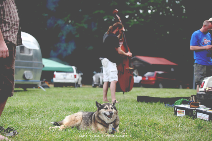 WOOFSTOCK Helps Save Animals in Hanna City, IL