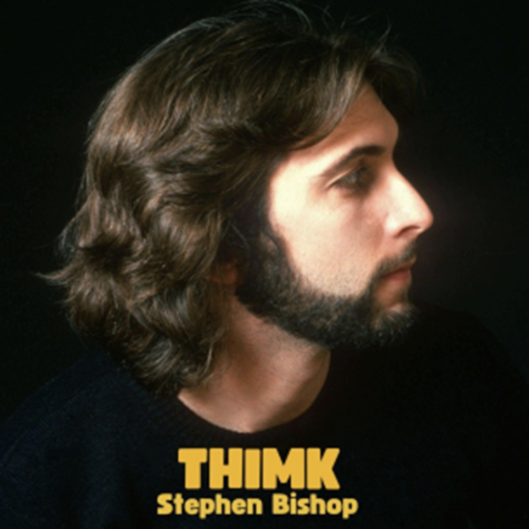 Stephen Bishop Bids Farewell With 20th & Final Album THIMK Out August 15