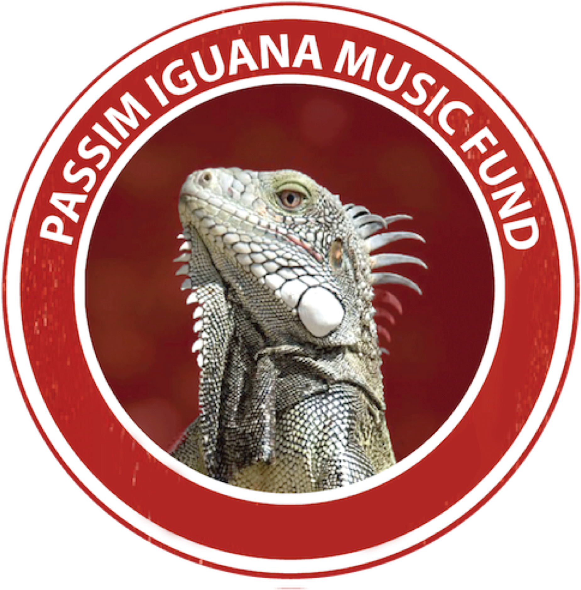 Cambridge, MA based Passim Awards $40,000 in 2021 Iguana Music Fund Grants to New England based musicians