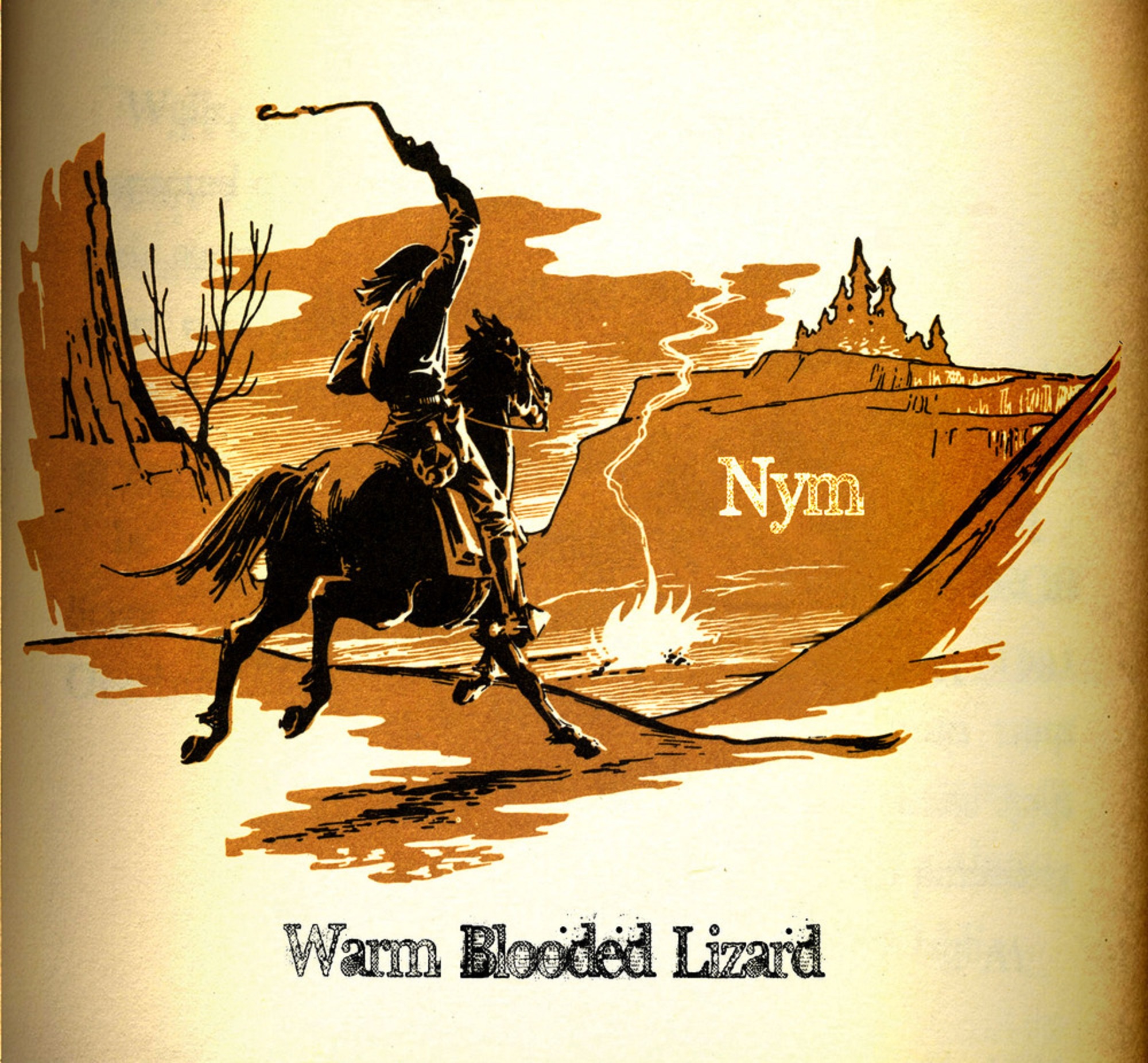 NYM | Warm Blooded Lizard | Album Review + Interview