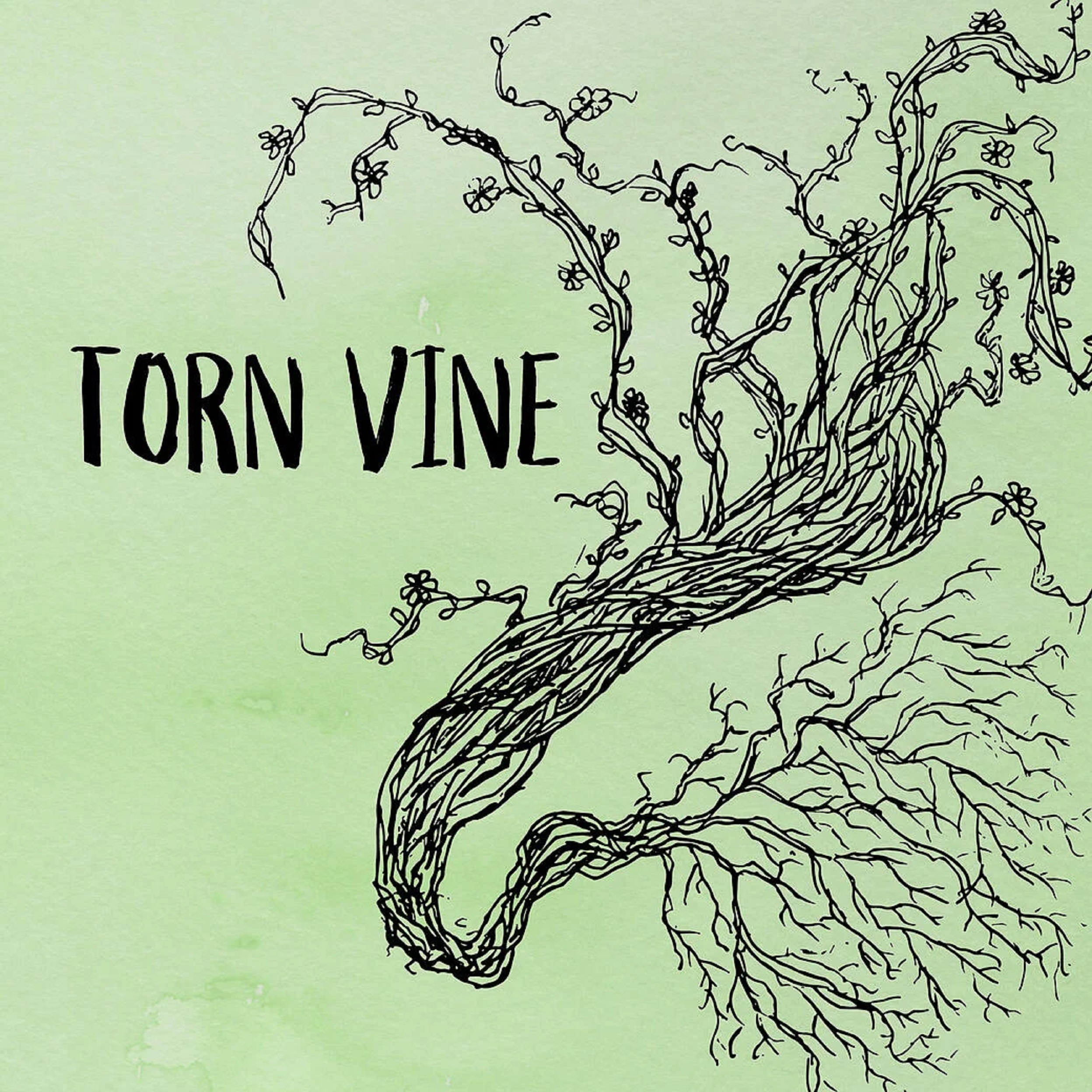 The A.M.s Release Debut Single, “Torn Vine”
