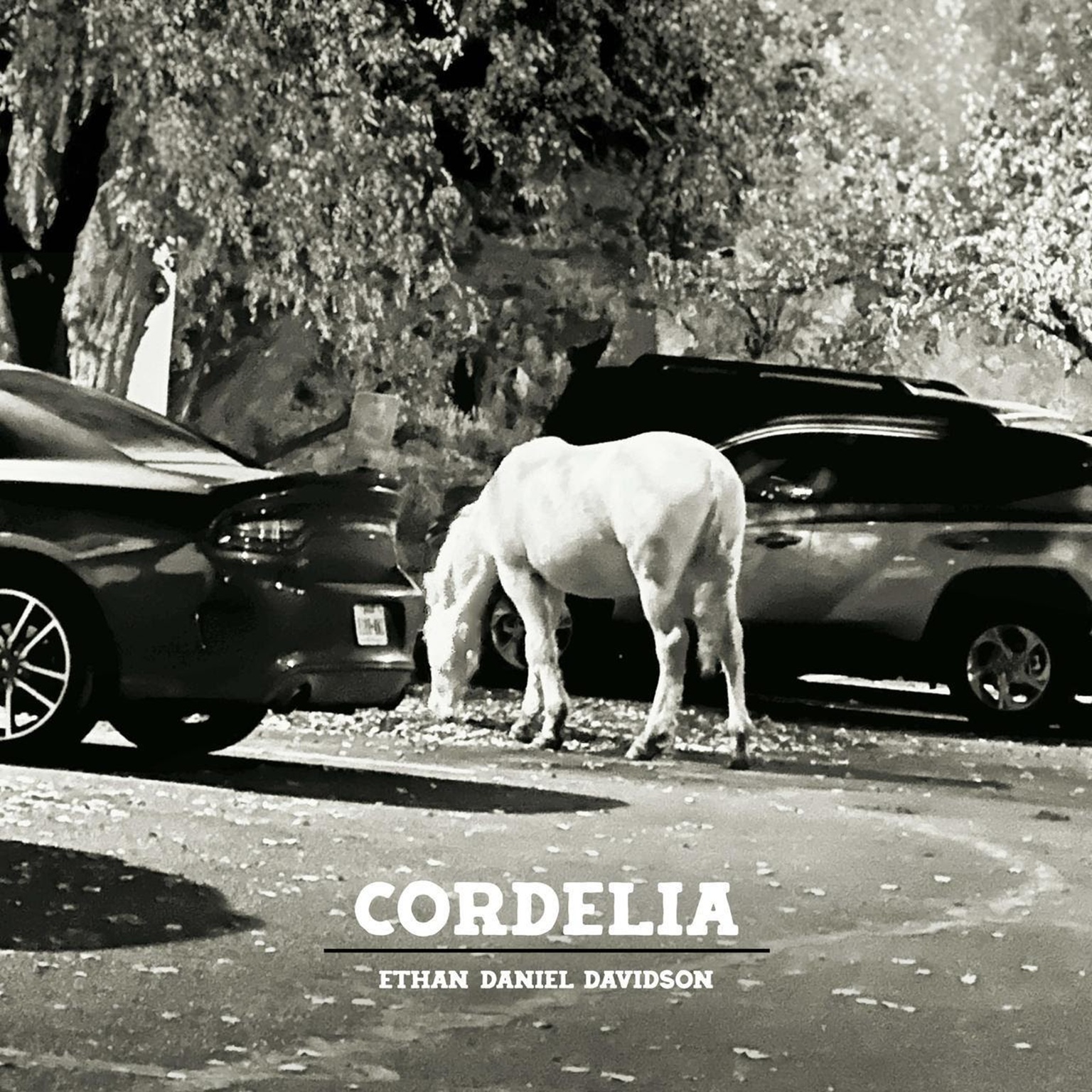 Ethan Daniel Davidson Releases New Single “Your Old Key” From New Album 'Cordelia'