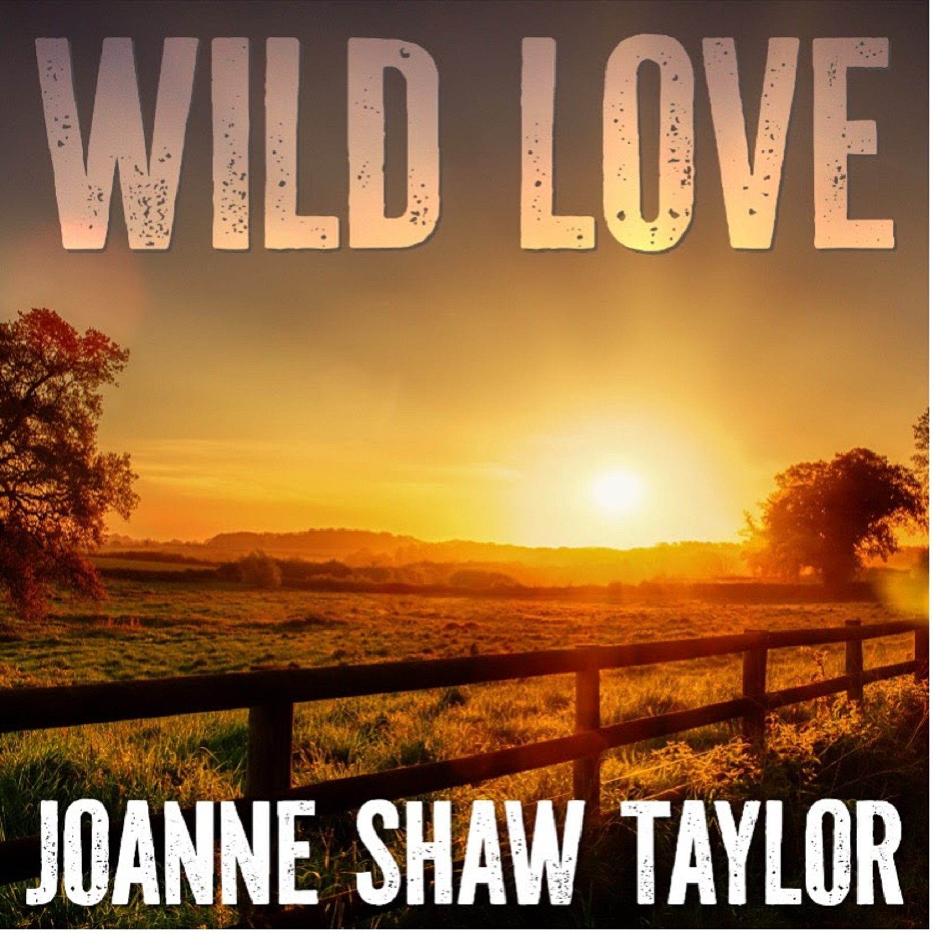 British blues-rock virtuoso Joanne Shaw Taylor adds a sultry twist to her catalog with "Wild Love"