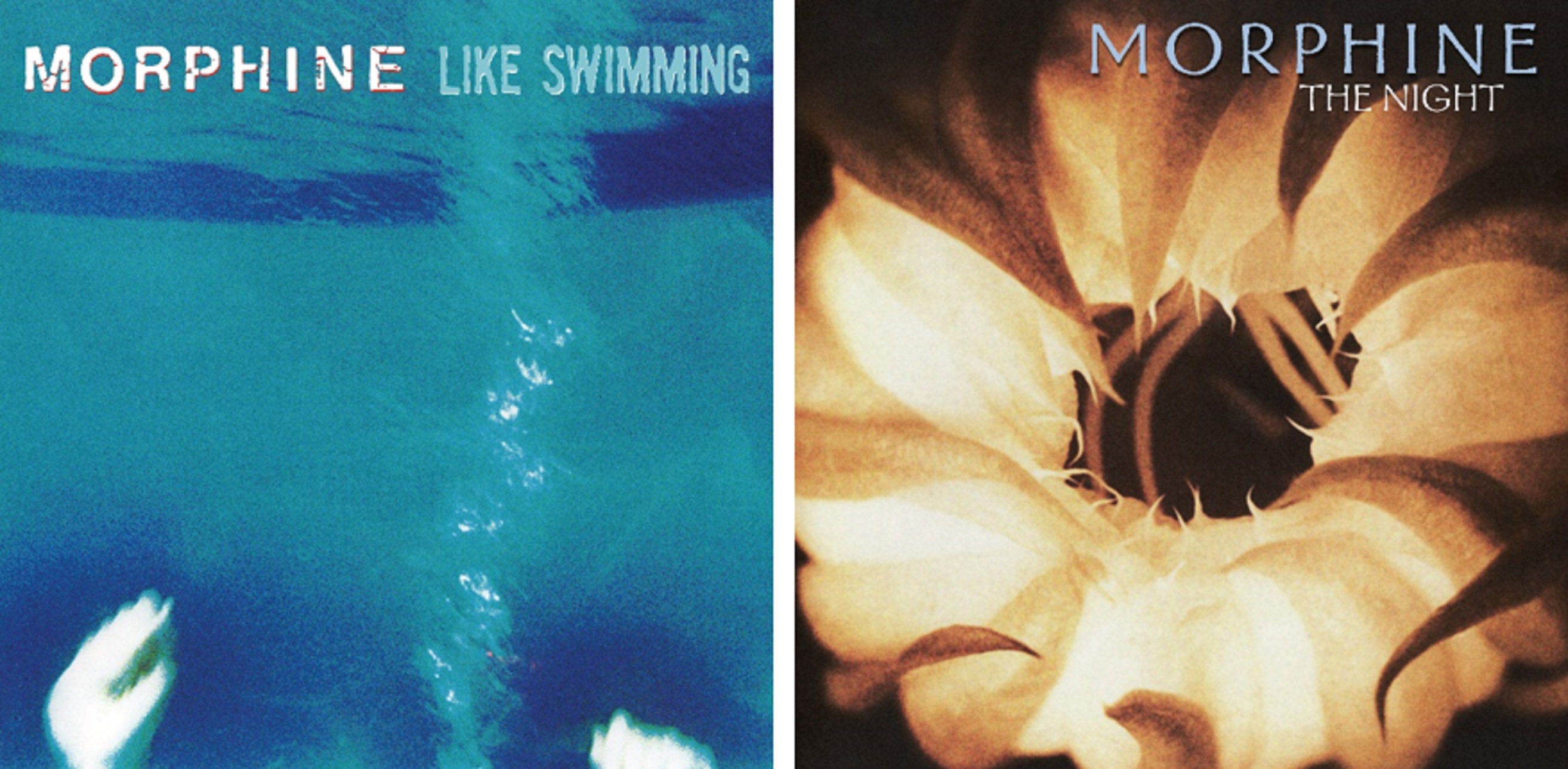 Light in the Attic to reissue Morphine’s Like Swimming and The Night
