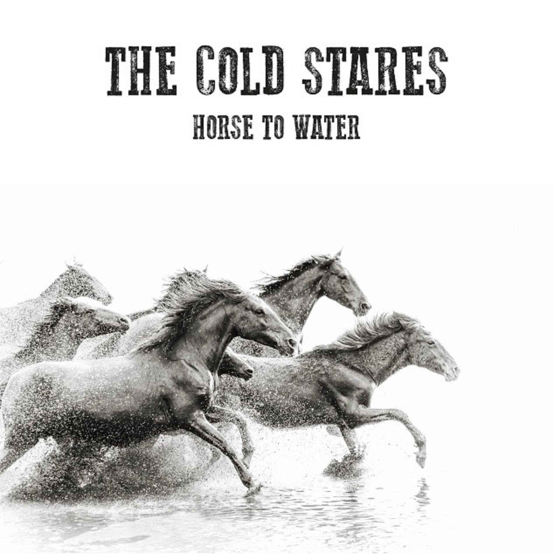 The Cold Stares Nod to Southern Legacy on New Single, "Horse To Water"