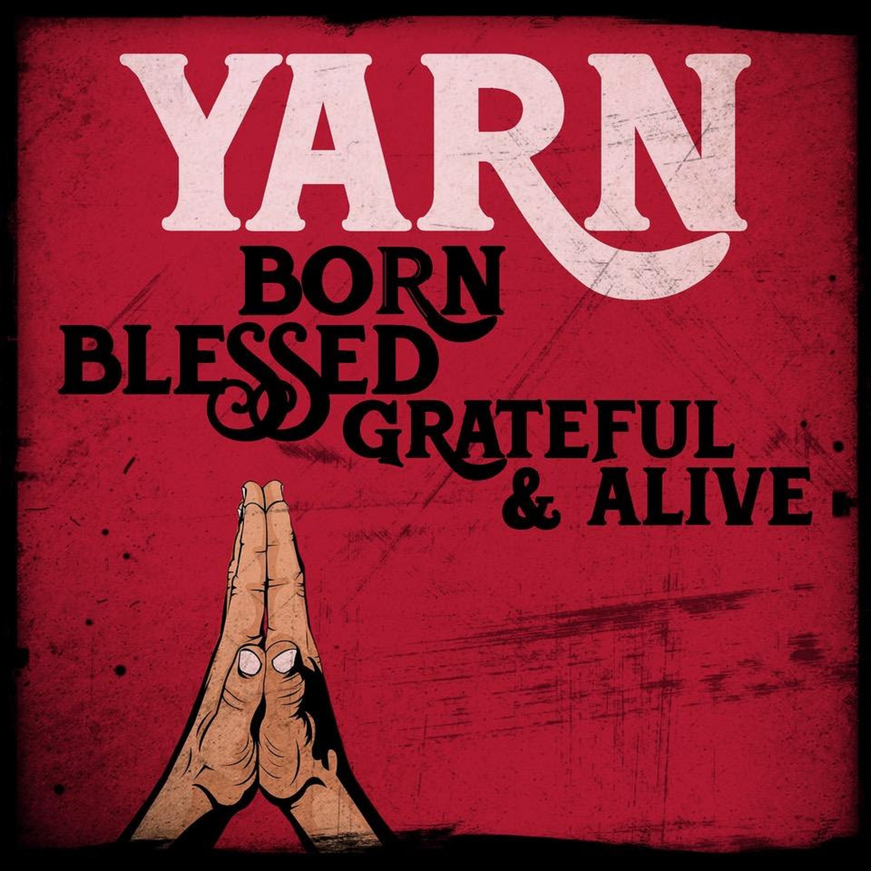 YARN THE NC-VIA NYC BAND RETURNS WITH THEIR FIRST STUDIO ALBUM IN EIGHT YEARS, BORN, BLESSED, GRATEFUL & ALIVE