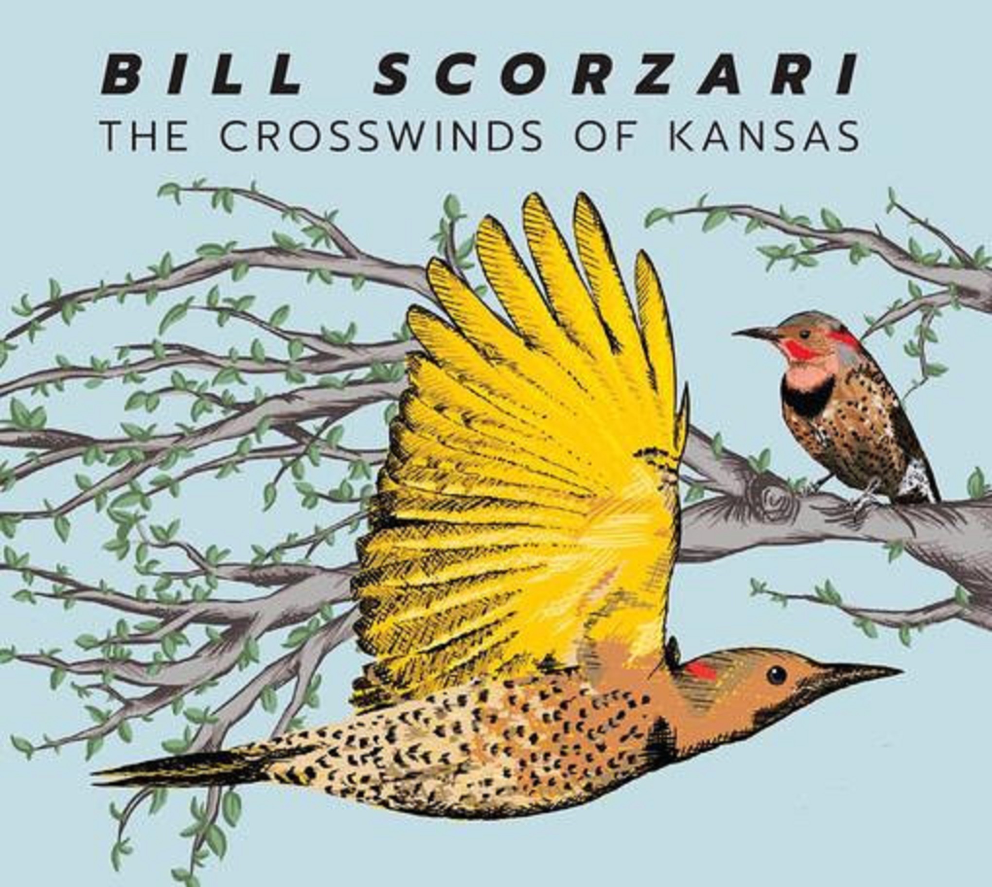 Bill Scorzari Independently Releases The Crosswinds of Kansas