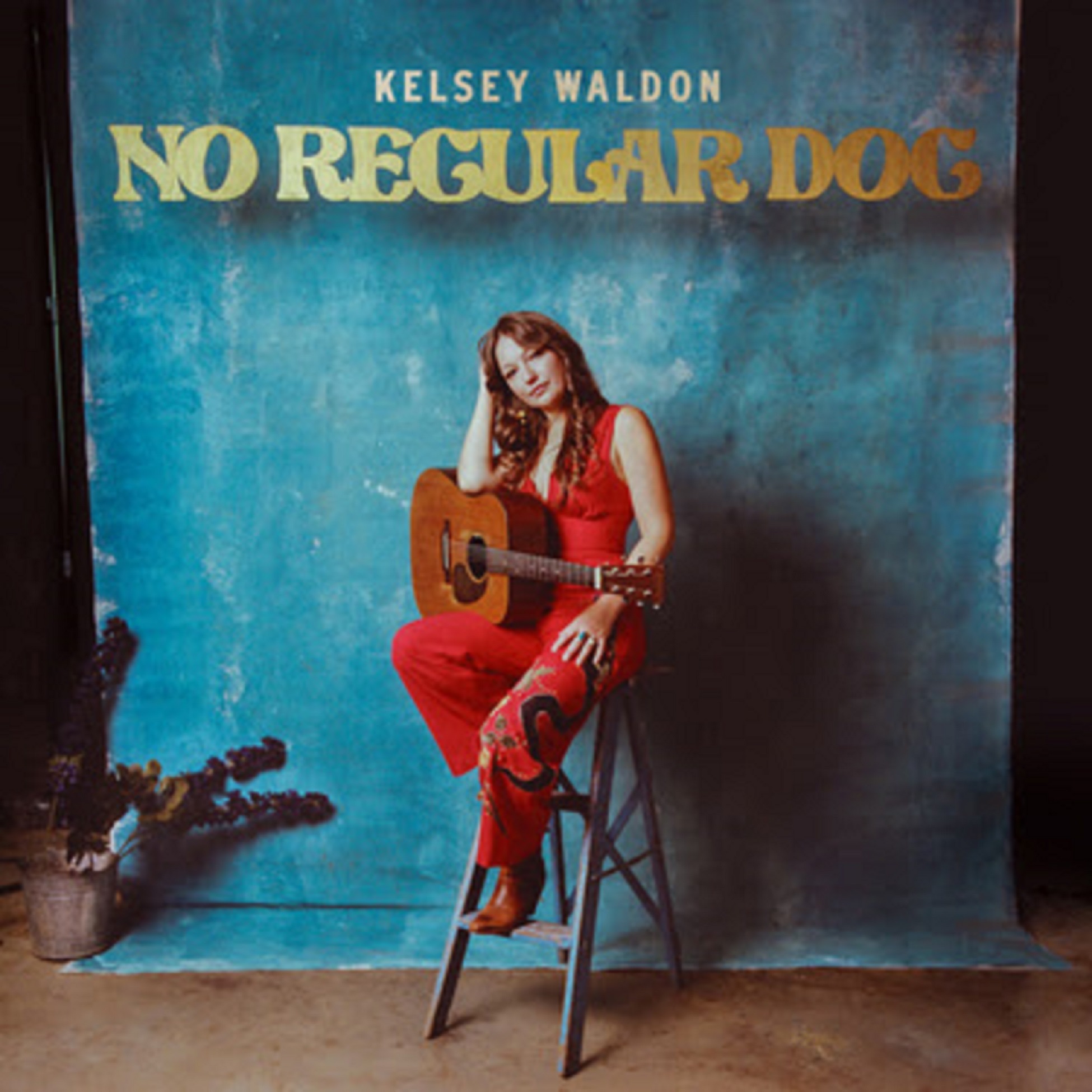 Kelsey Waldon’s new album "No Regular Dog" out August 12, “Sweet Little Girl” debuts today