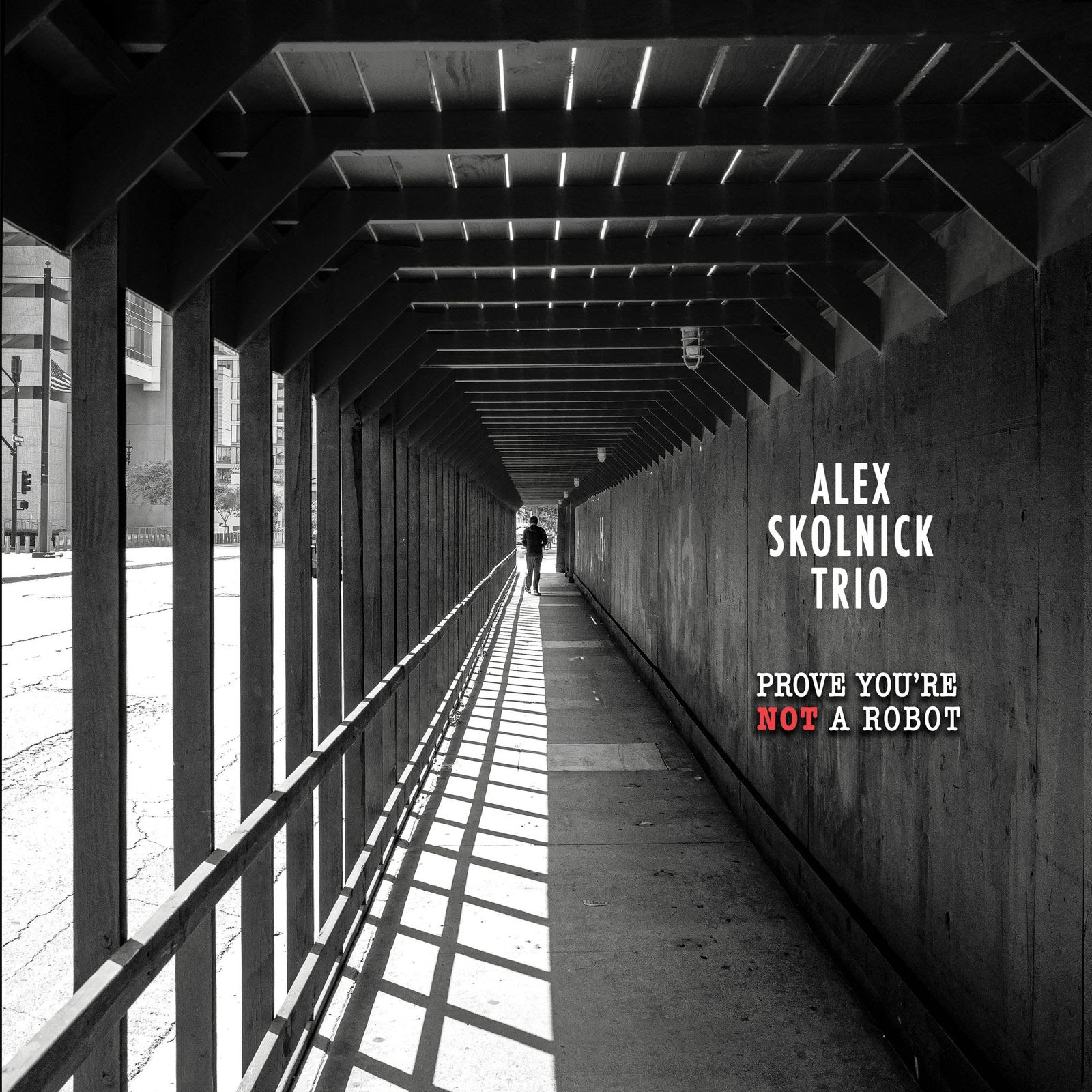 ALEX SKOLNICK TRIO Announces New Album ~ First Single "Breakdown" Out Now