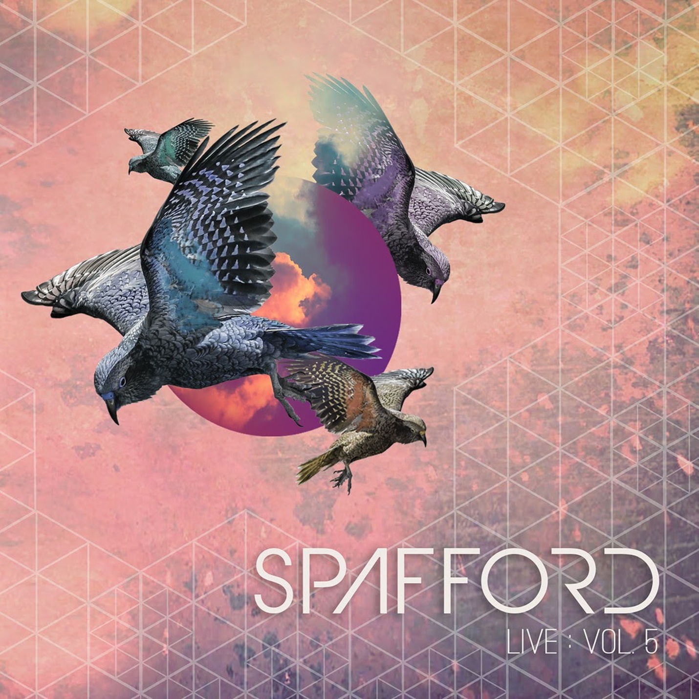 Spafford Releases New Full-Length Live Album - “Live, Vol. 5”
