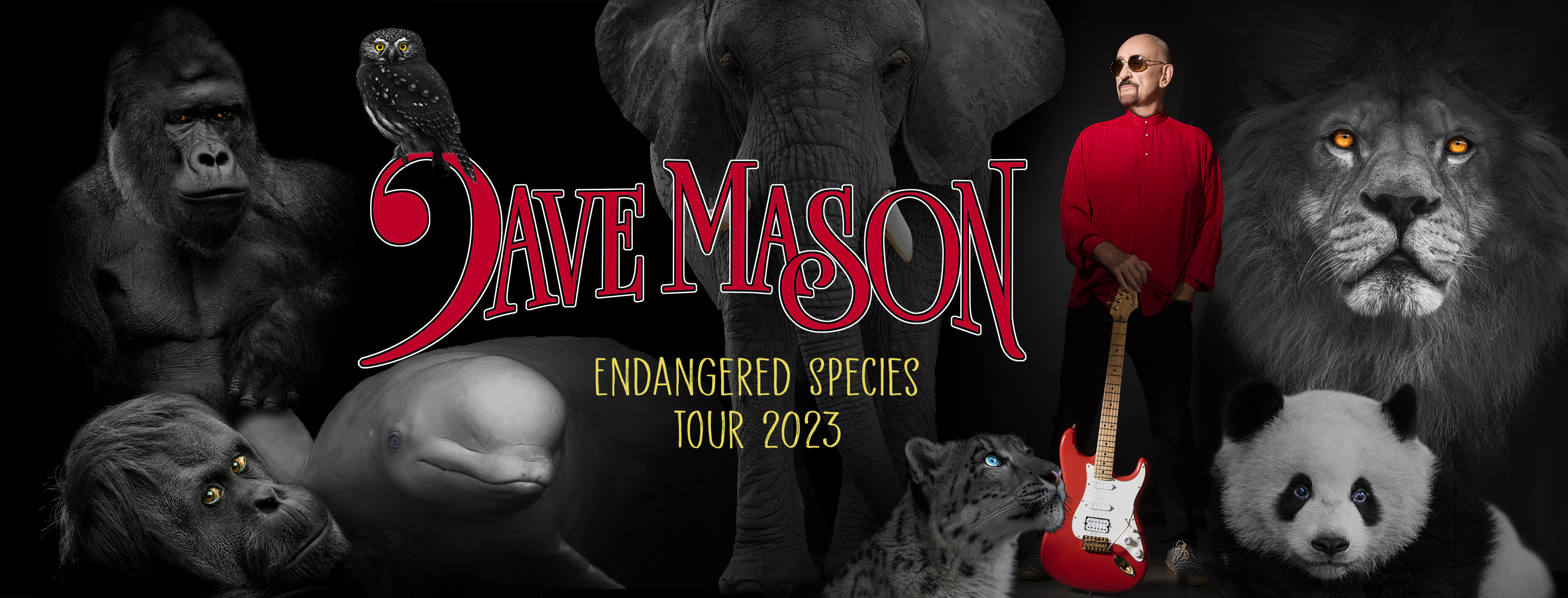 DAVE MASON Announces 2023 "ENDANGERED SPECIES TOUR"