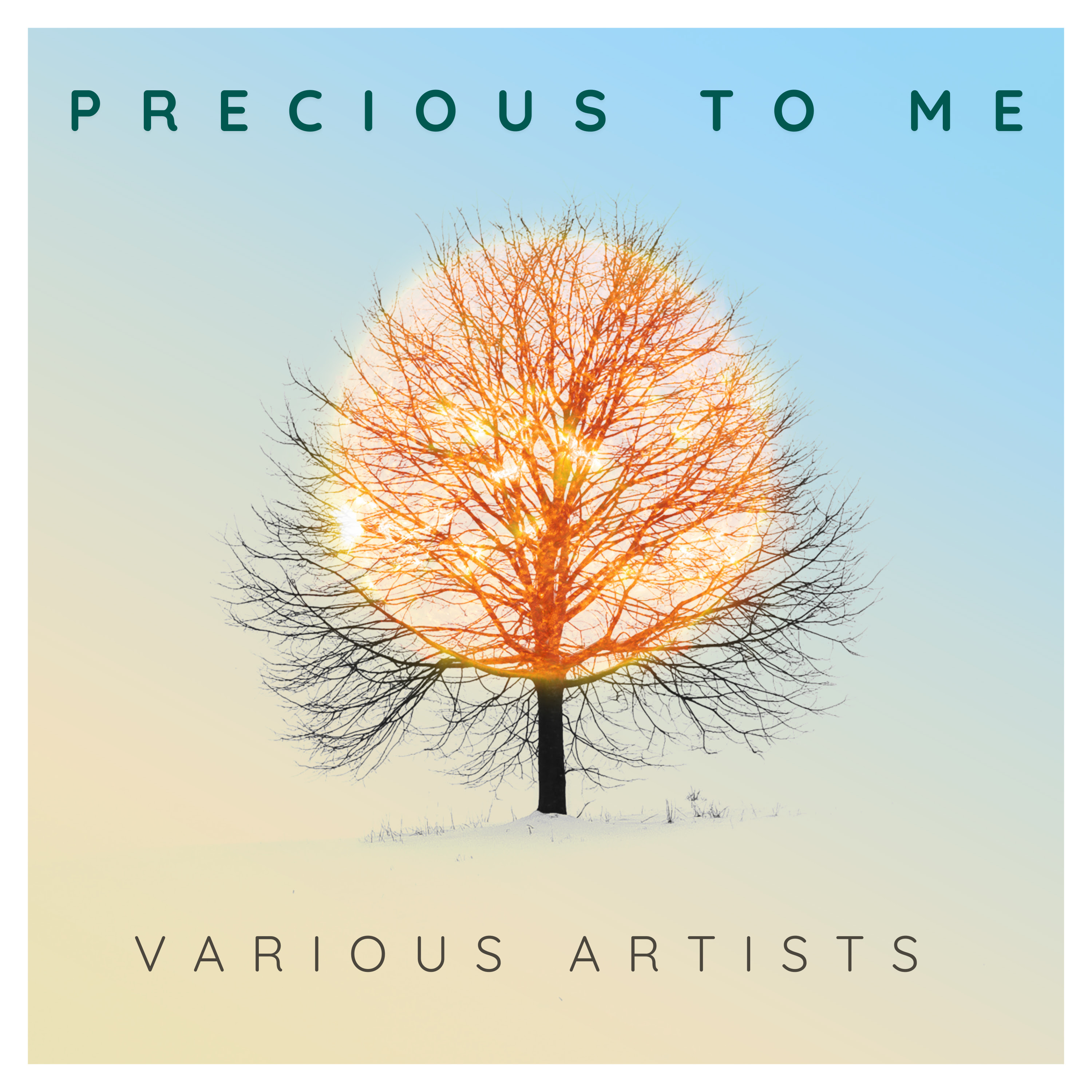 Blue Élan Records Releases Charity Album "Precious to Me" Benefiting The Alliance for Children's Rights