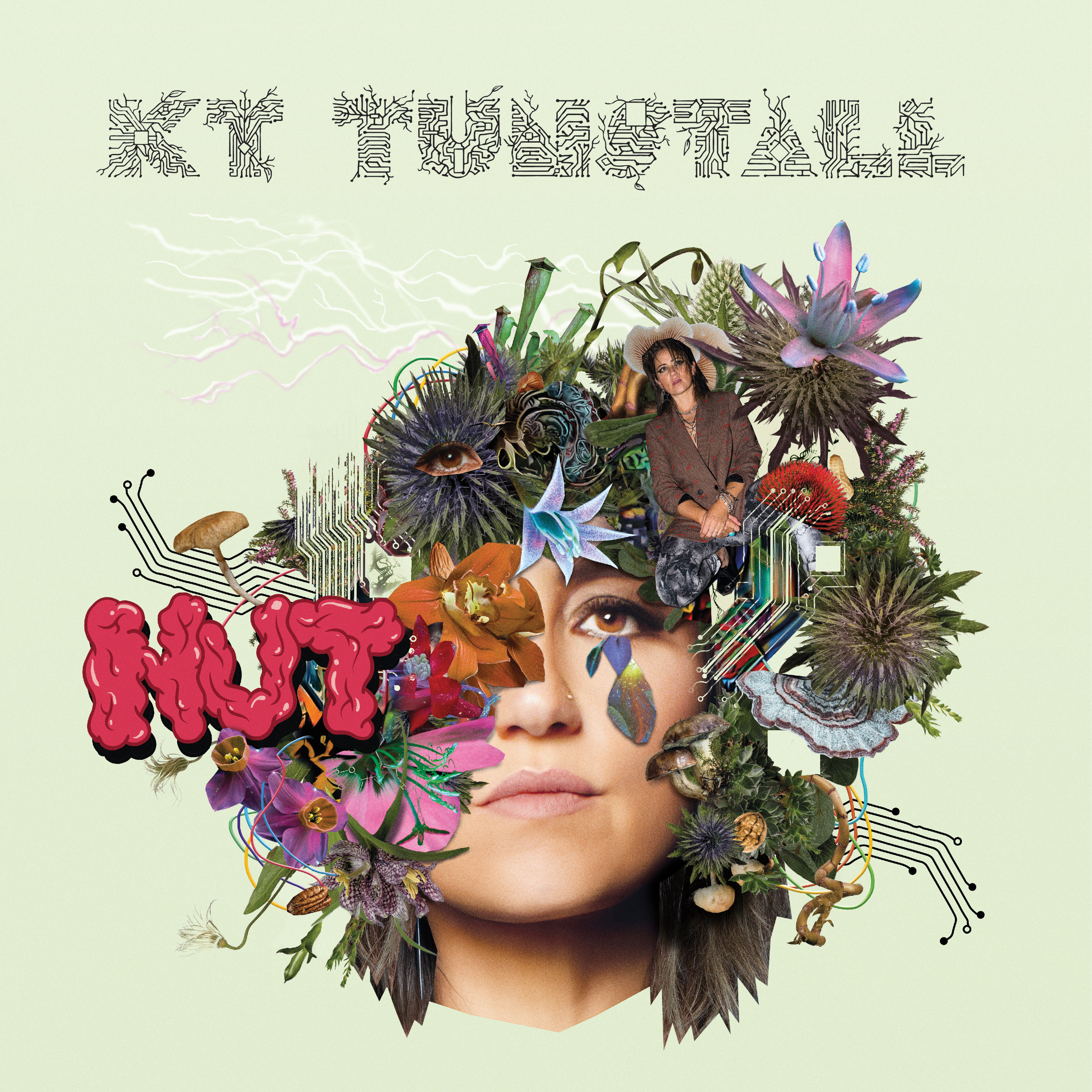 KT TUNSTALL Announces New Album ~NUT~ First Single Out Today!