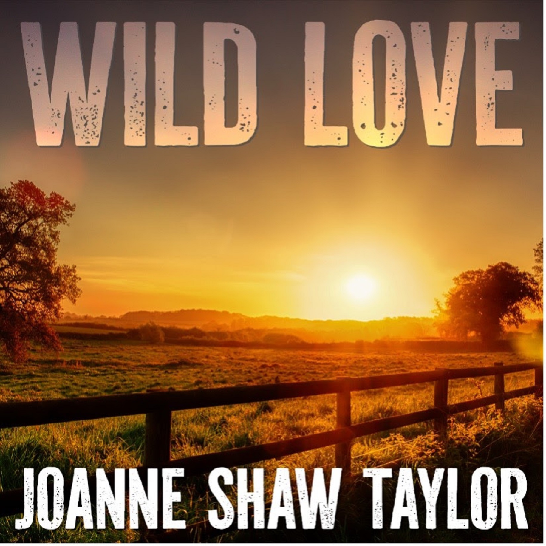 british-blues-rock-virtuoso-joanne-shaw-taylor-adds-a-sultry-twist-to