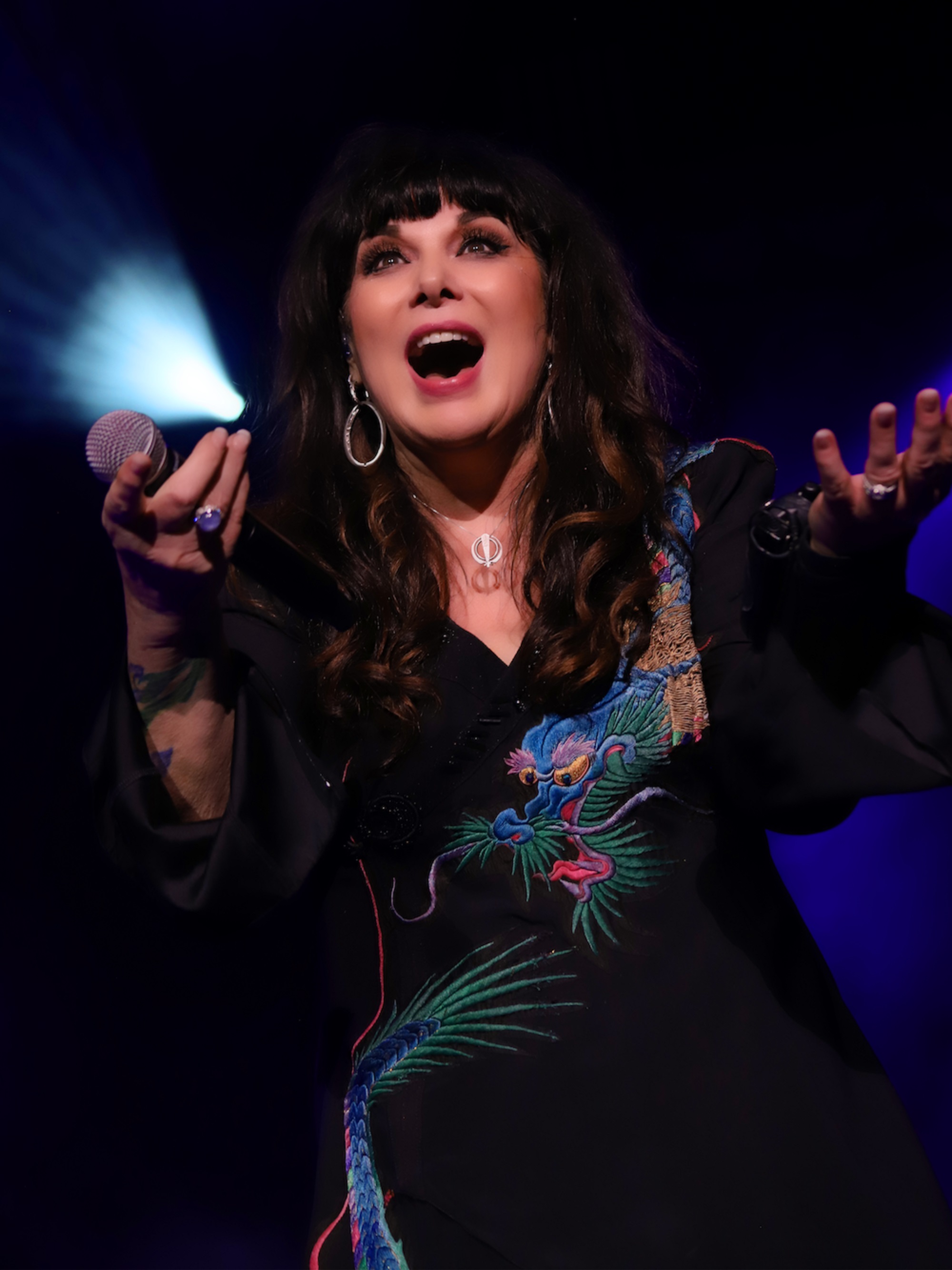 ann wilson of heart tour dates