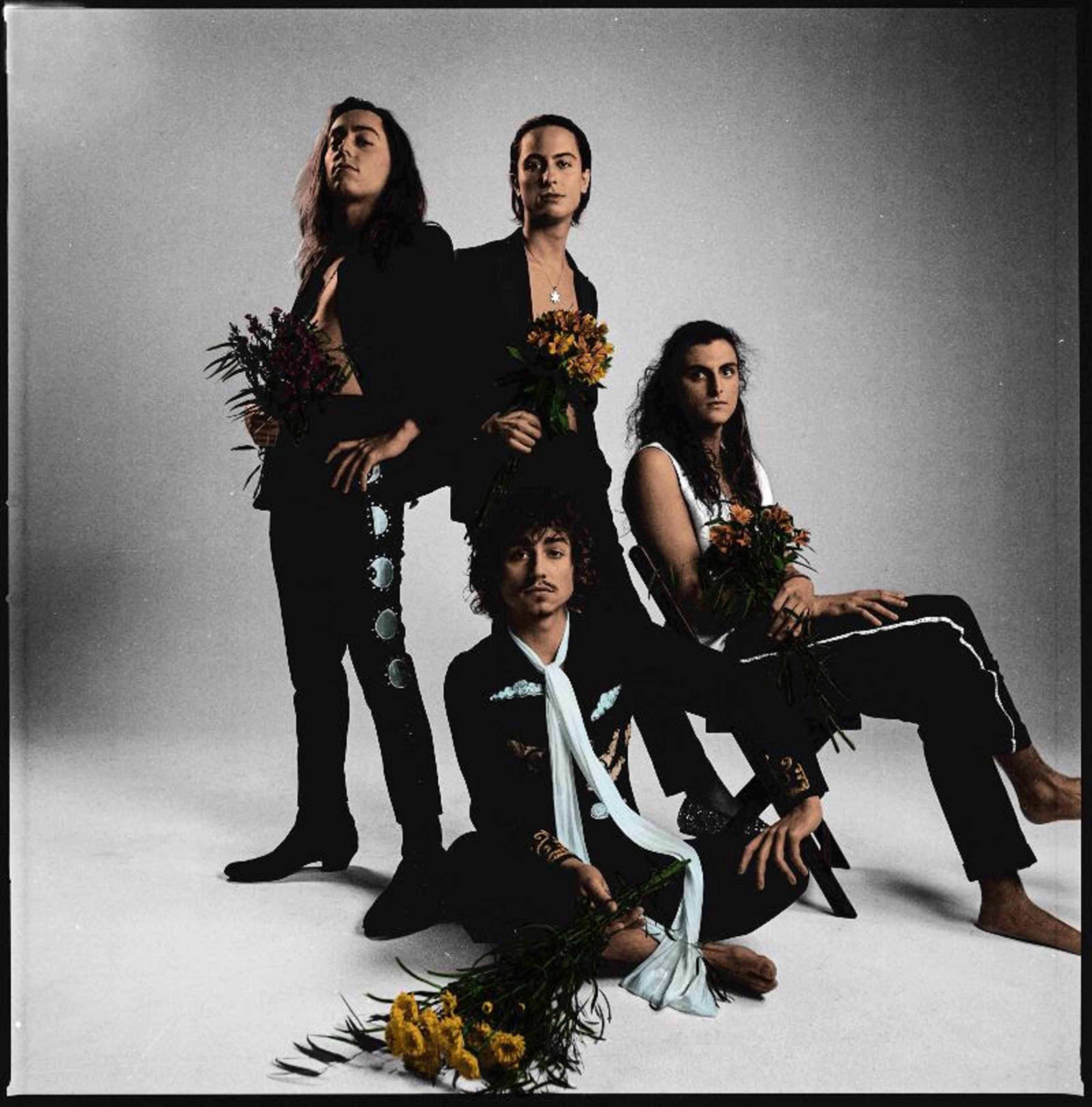 Greta Van Fleet release new track 'Broken Bells Grateful Web