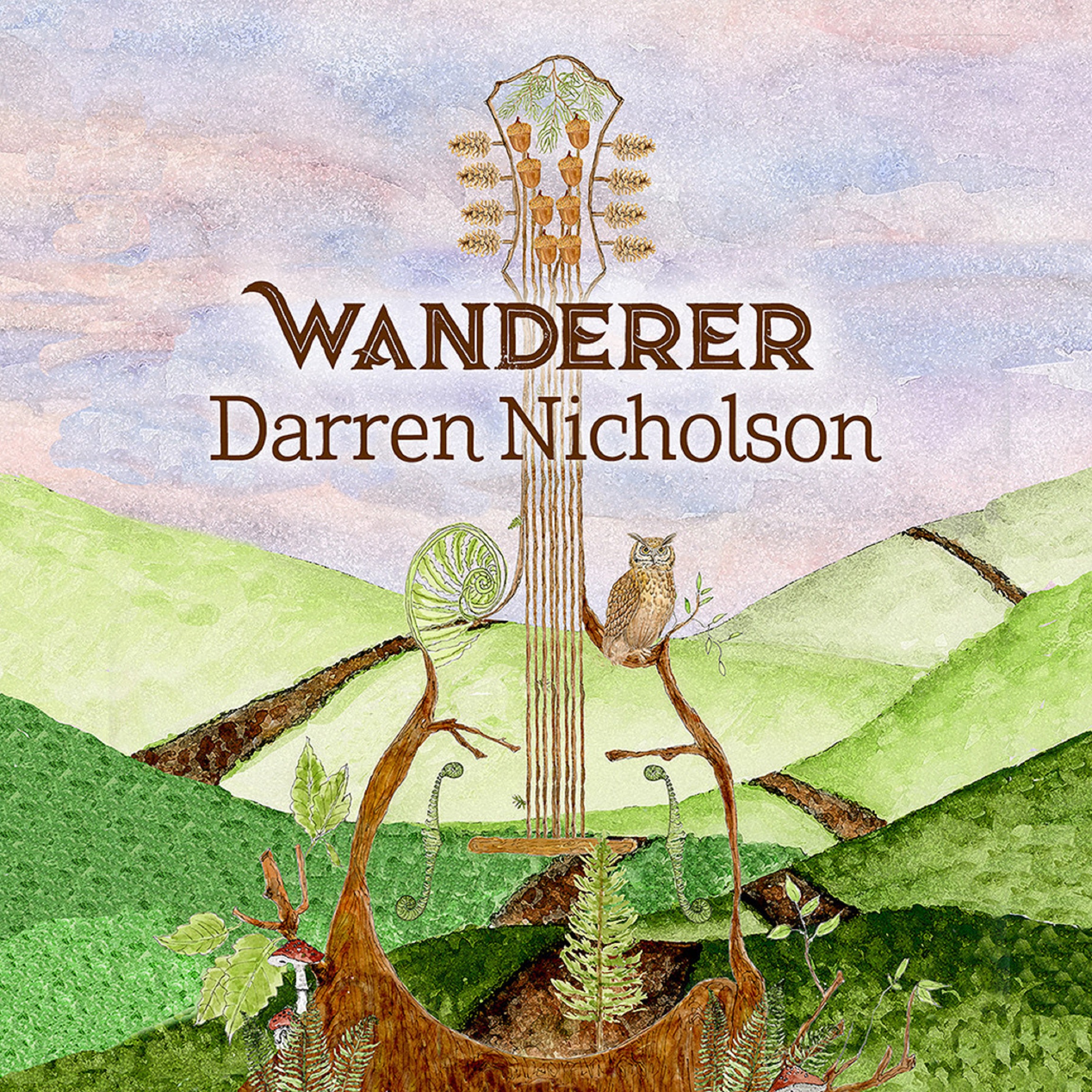 On Wanderer, Darren Nicholson forges his own musical path