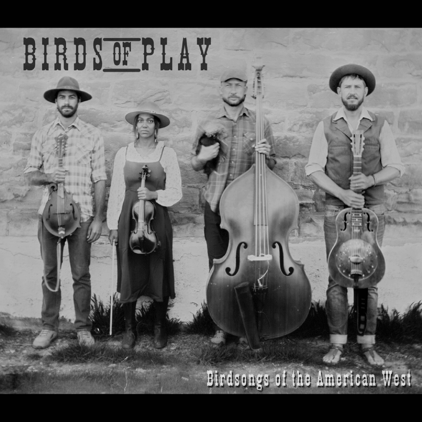 Colorado's Birds of Play Release 'Birdsongs of the American West' August 25