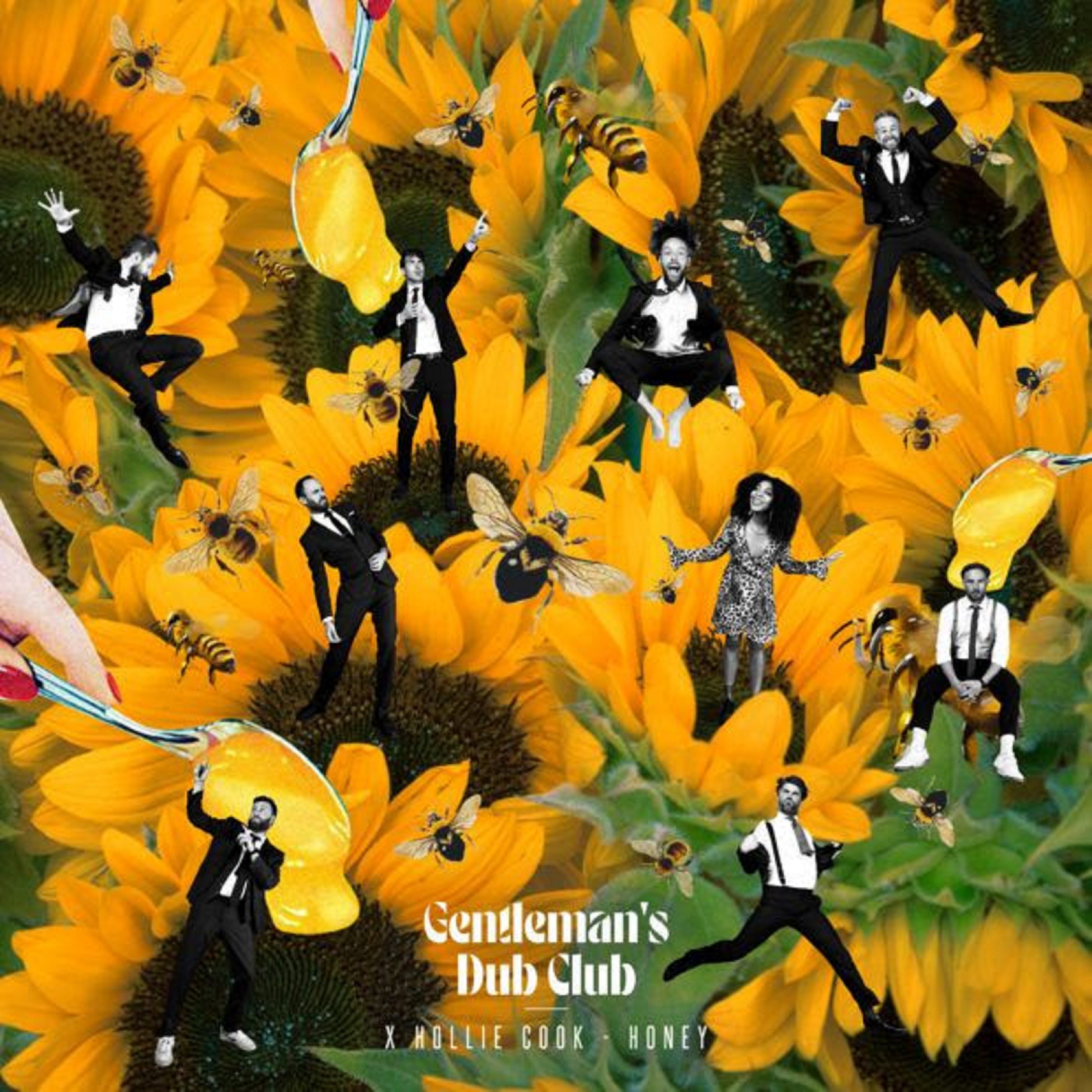 Gentleman's Dub Club Drop New Single "Honey" Feat. Hollie Cook - New Album Down To Earth Due Out March 19th