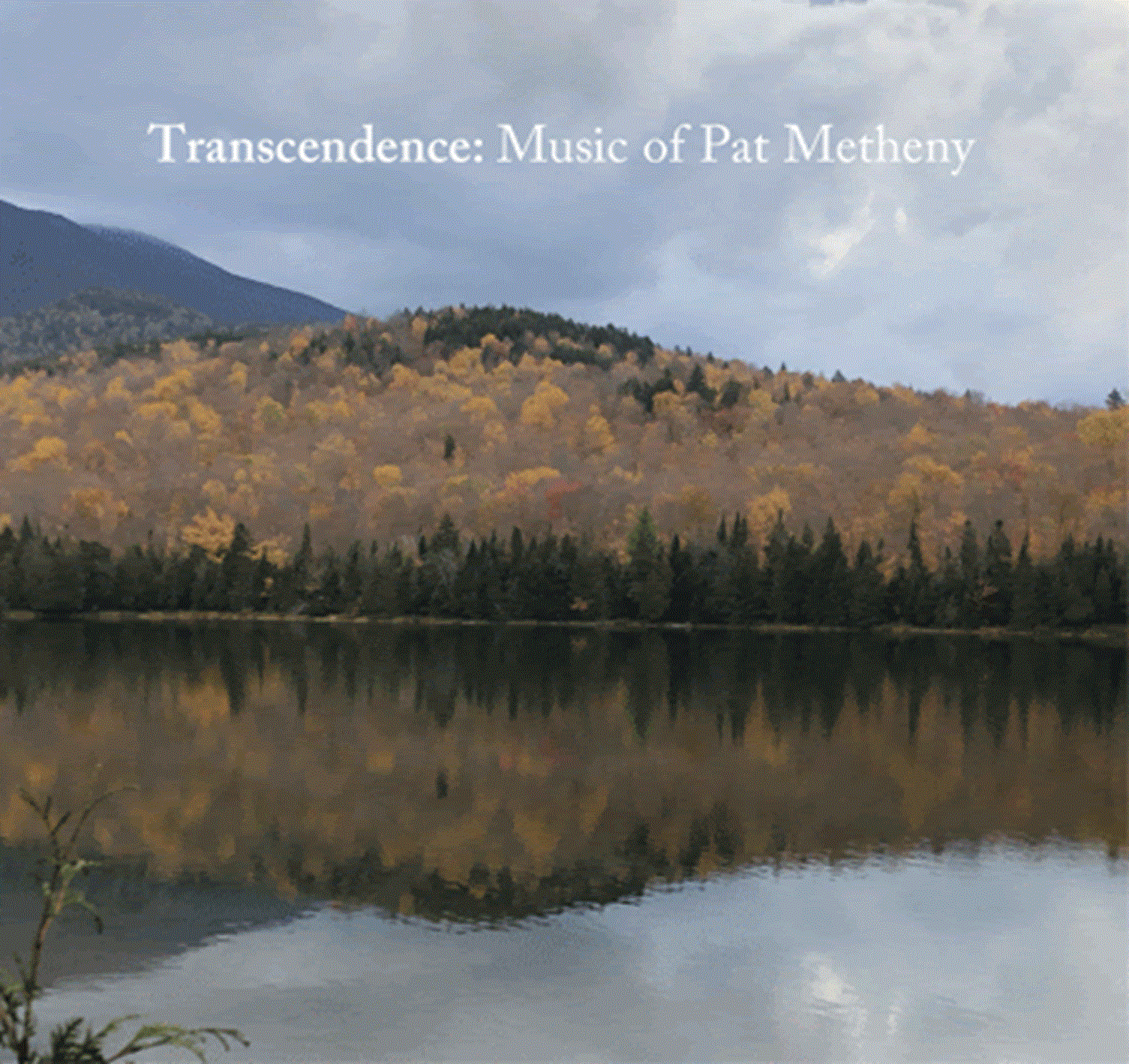 TRANSCENDENCE: “MUSIC OF PAT METHENY” Live Appearance Sunday, May 18, 2025, 1:30-2:30pm Mount Kisco Public Library