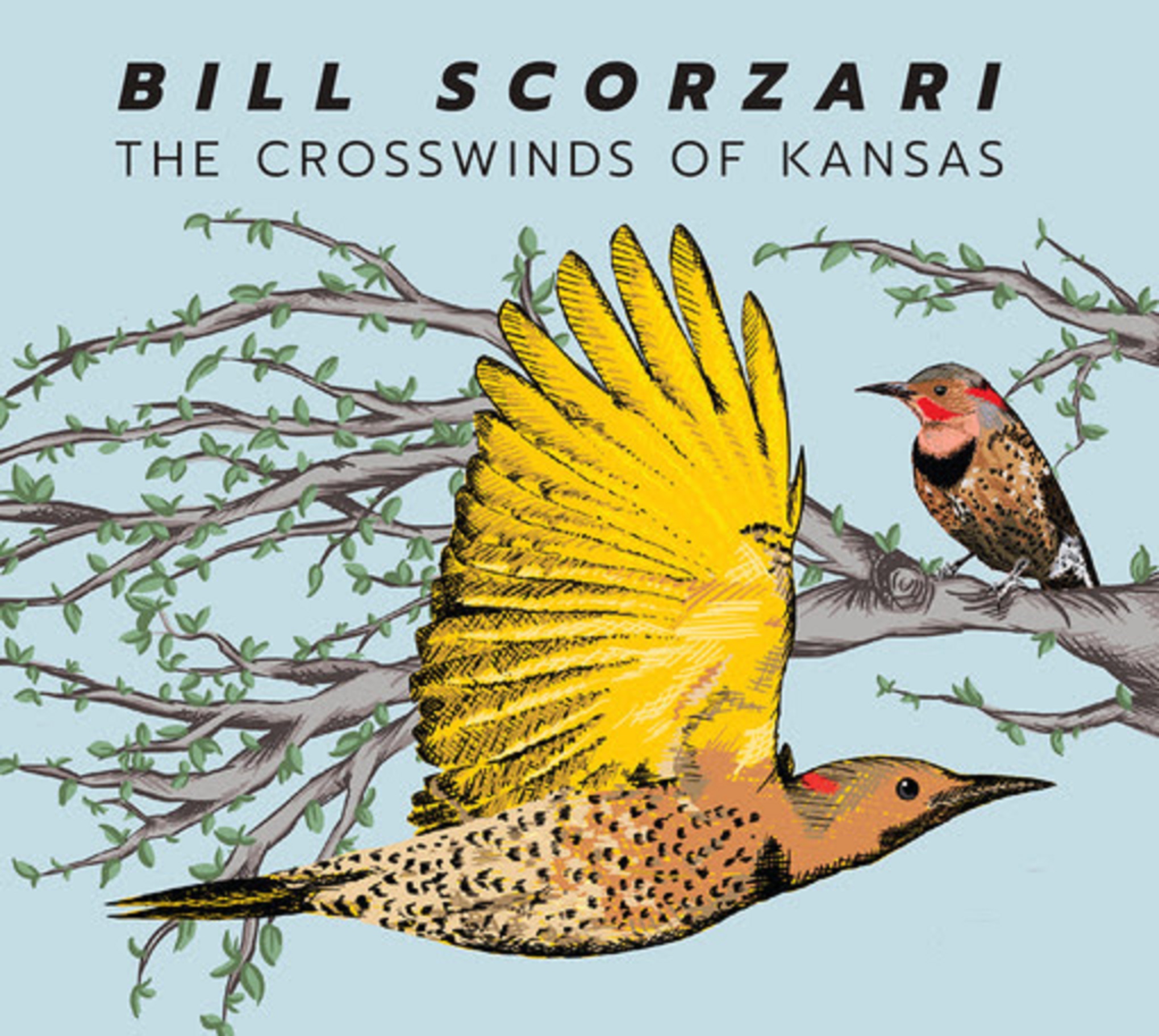 Bill Scorzari Releases ‘The Crosswinds of Kansas’ Co-Produced by Neilson Hubbard 8/19- 1st Single Out Now
