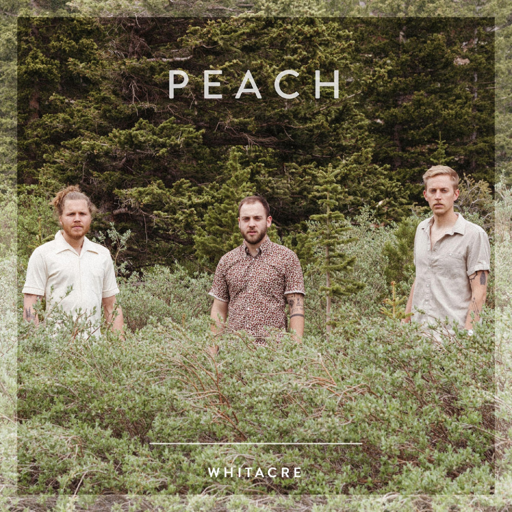 Alt-Americana band, Whitacre, to release new single, “Peach,” tomorrow, 11/15