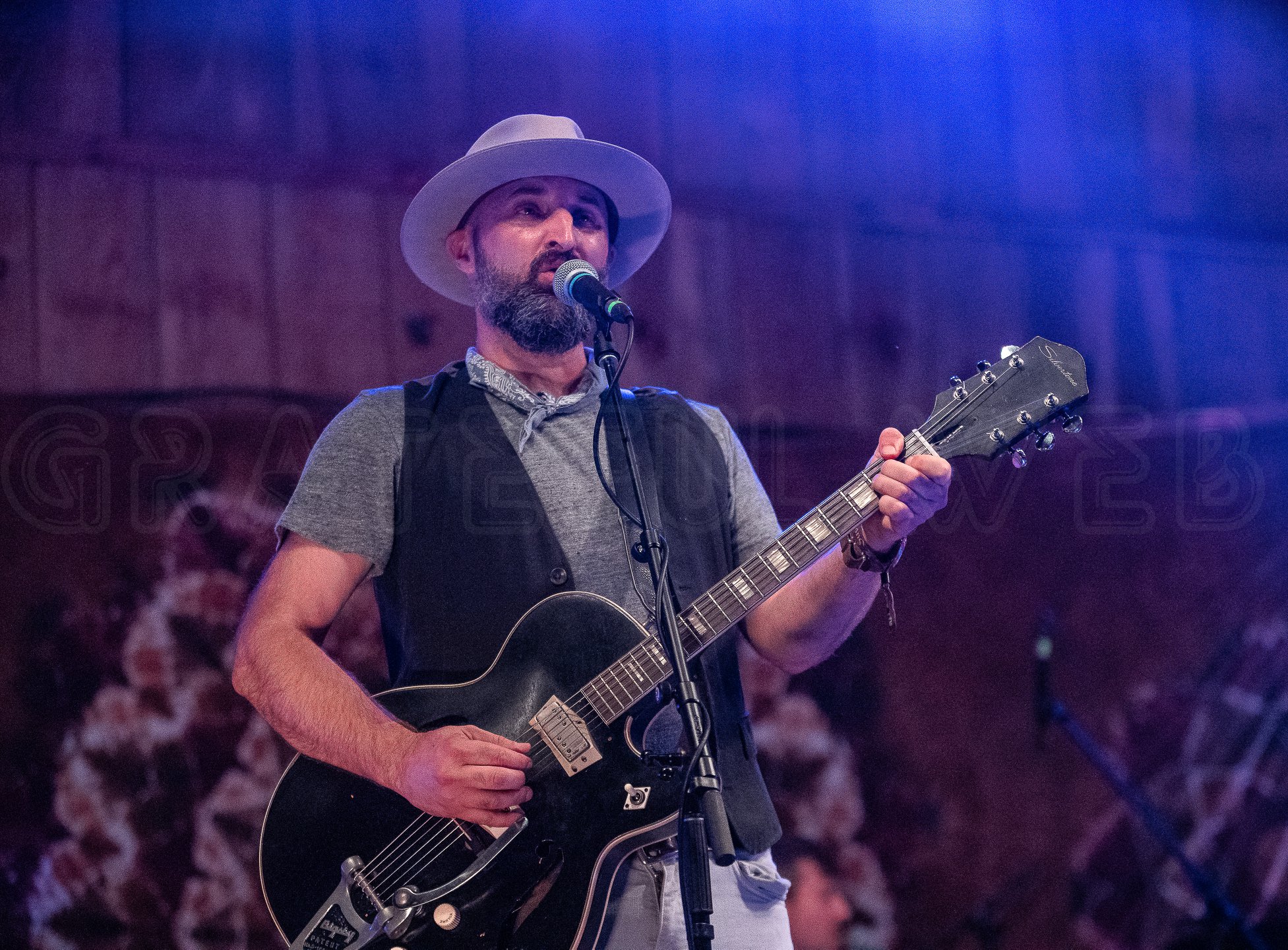 Suwannee Roots Revival 2019 Grateful Web