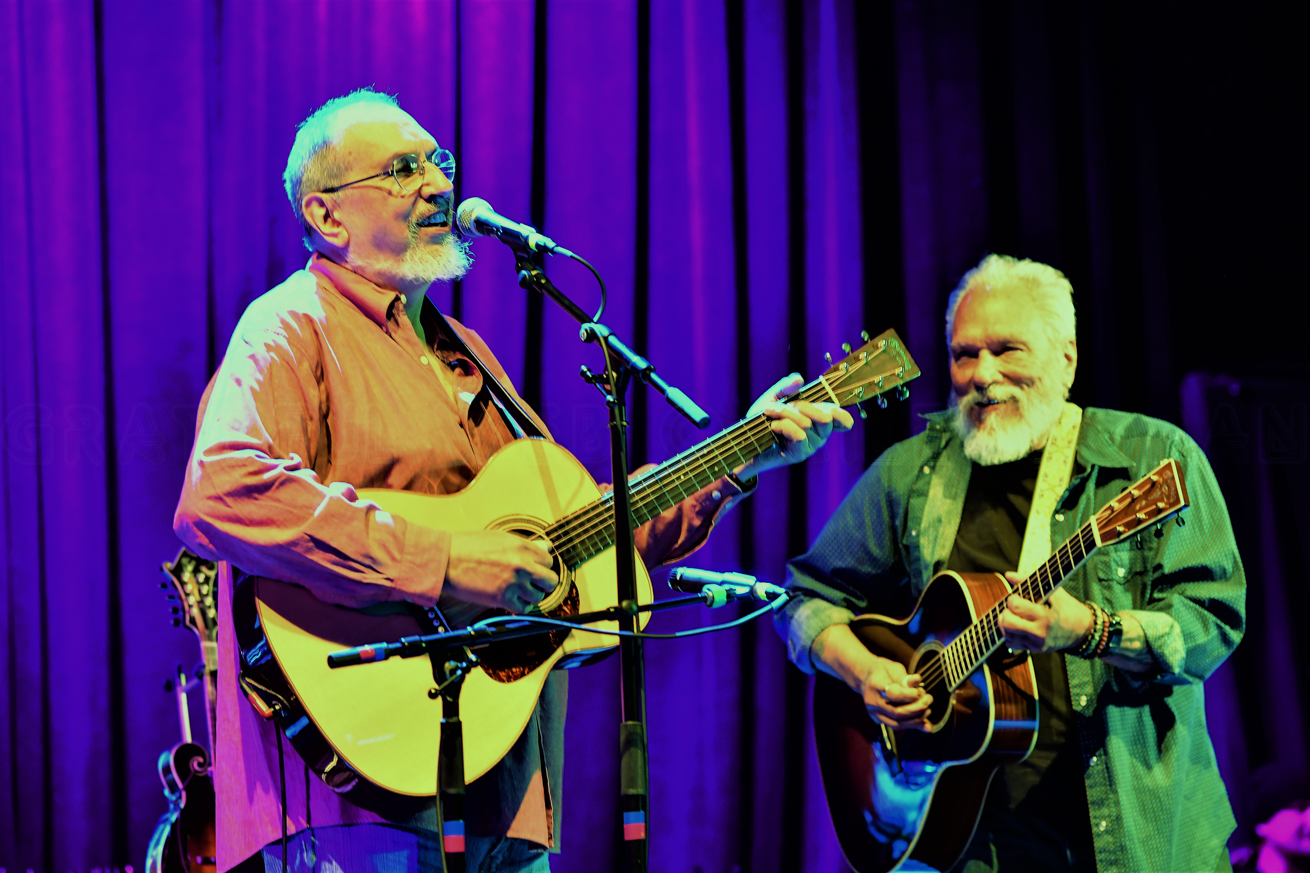 david bromberg quintet tour