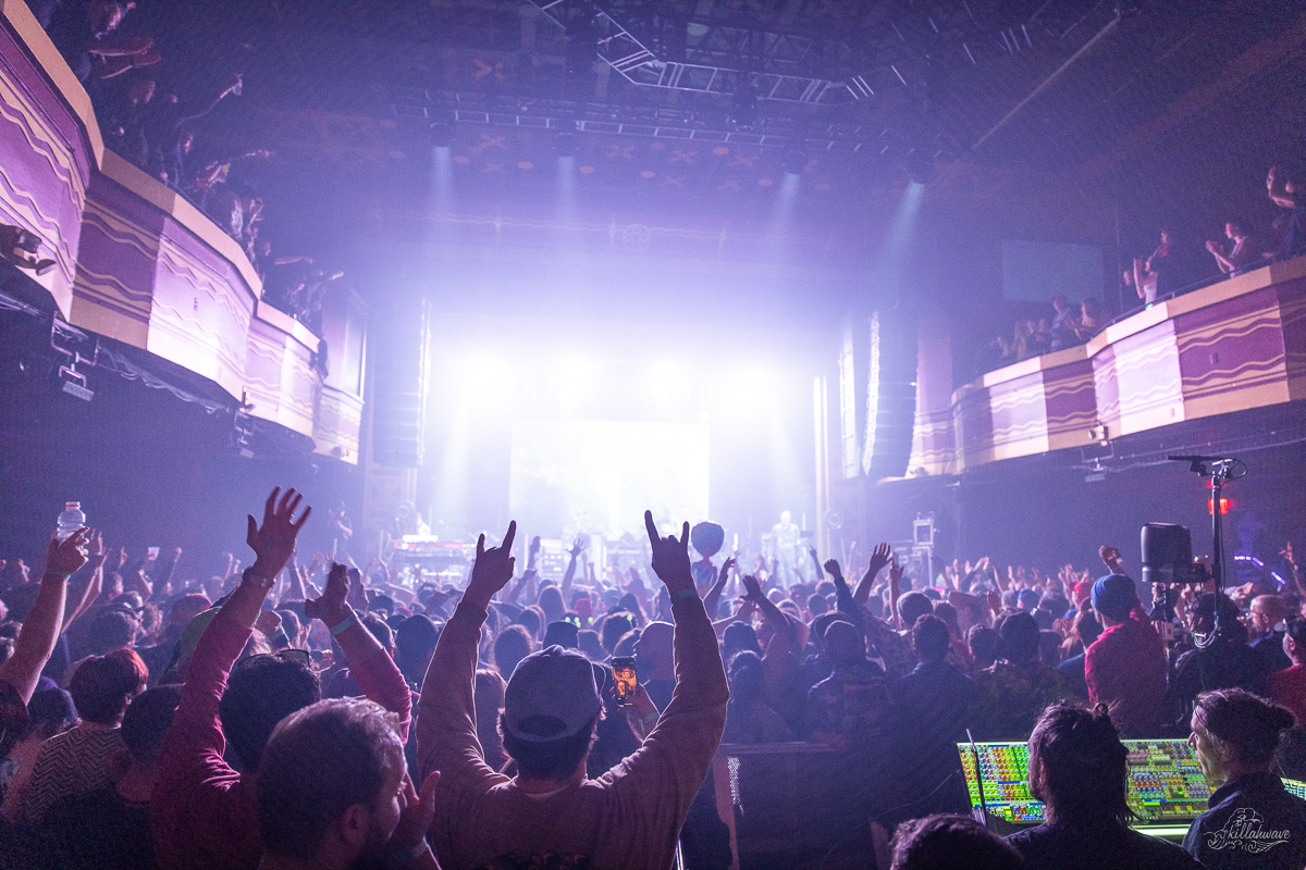 Fans loved the show | The Disco Biscuits