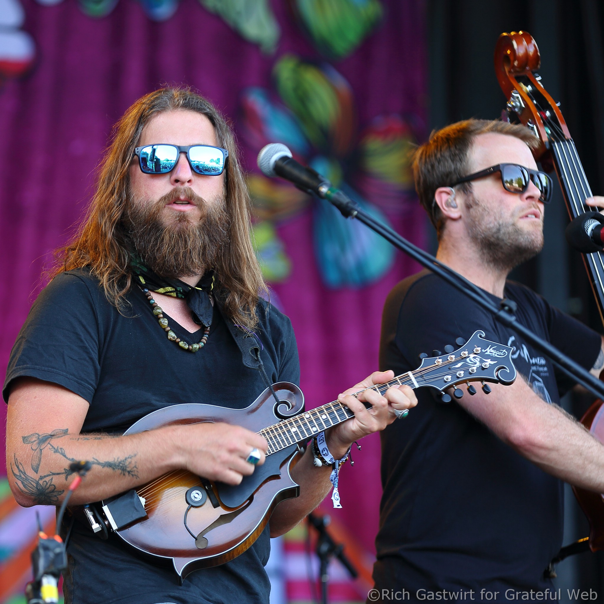 Greensky Bluegrass - photo by Rich Gastwirt