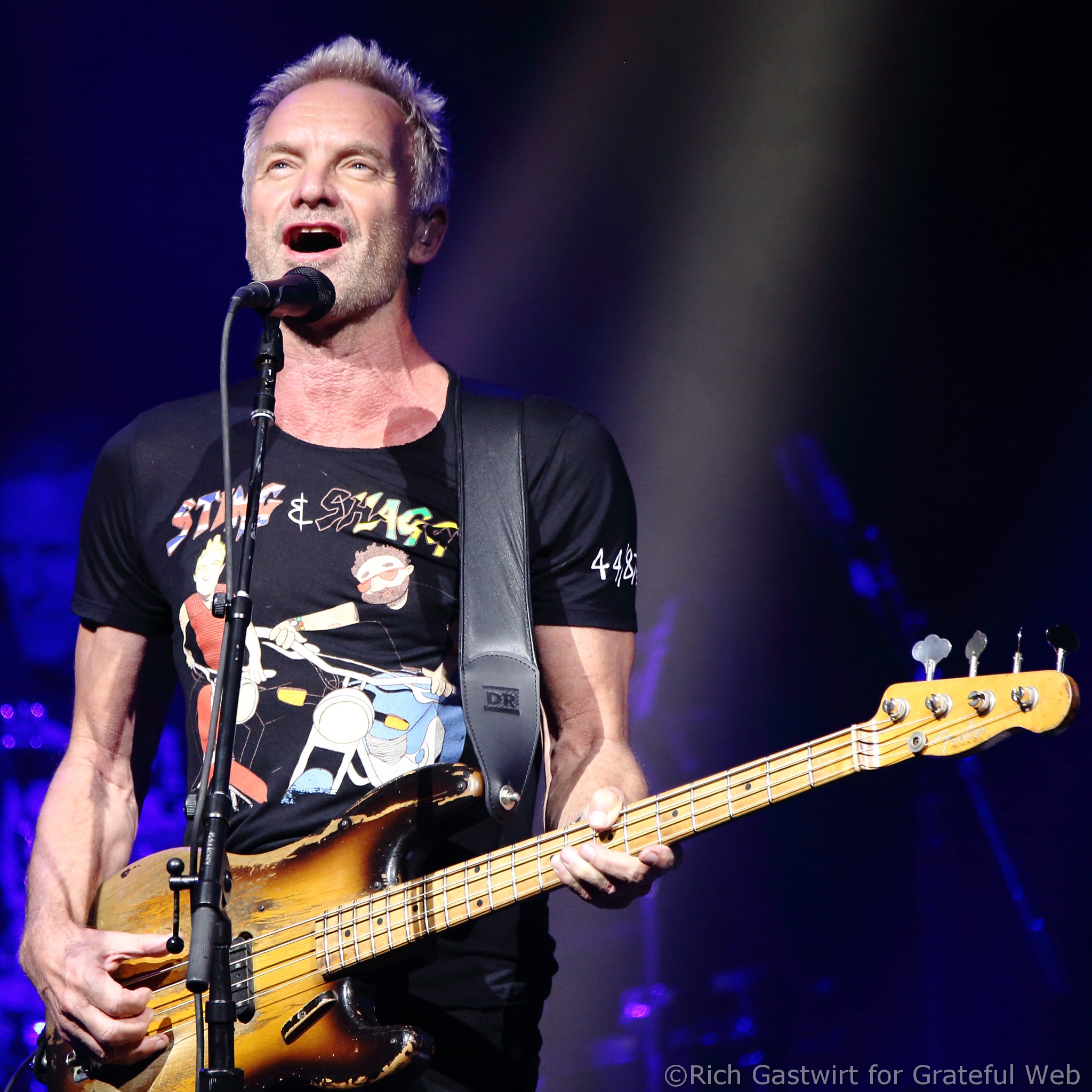 Sting | Boston, MA