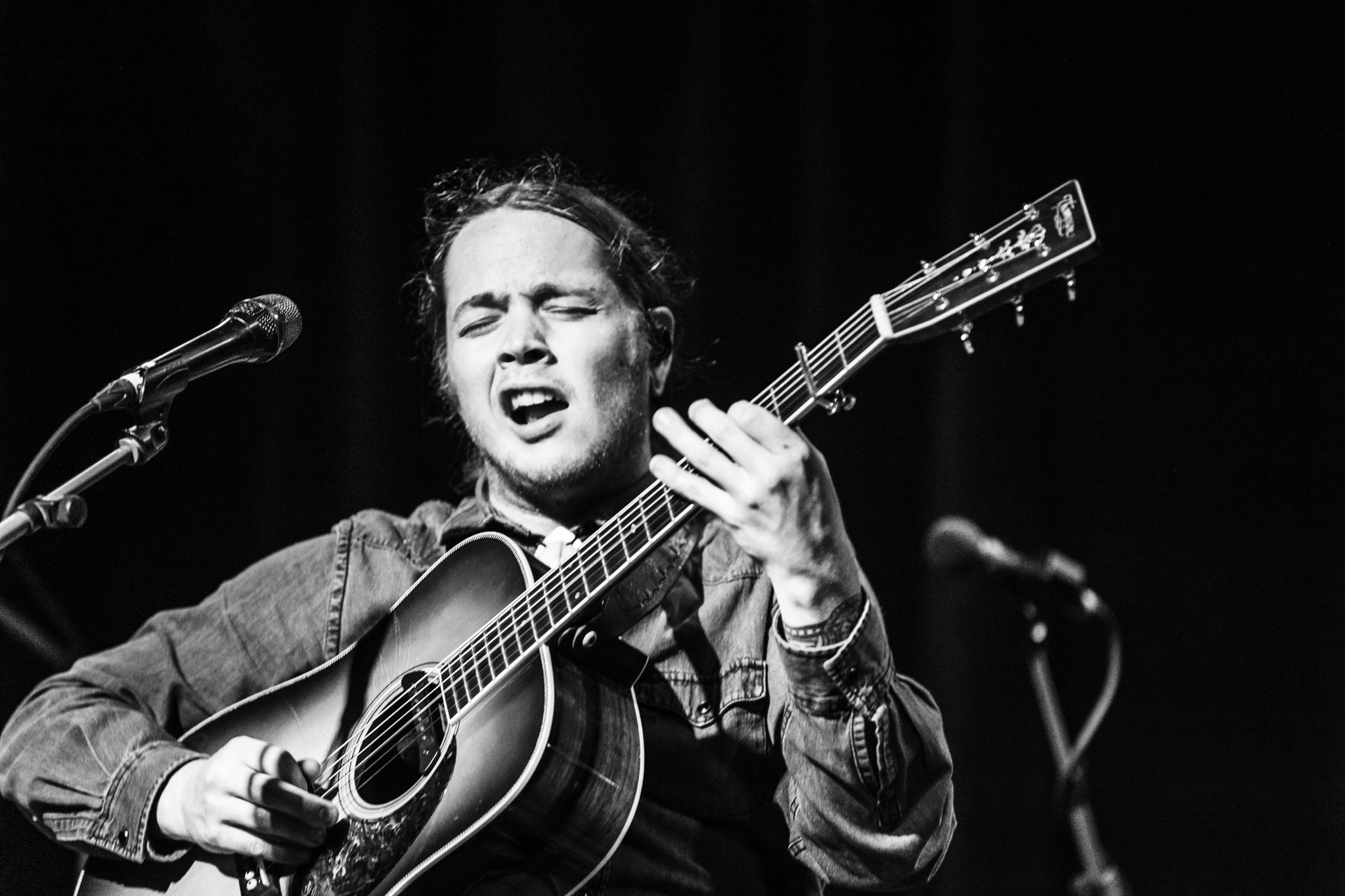 Billy Strings | photos by Jesse Faatz