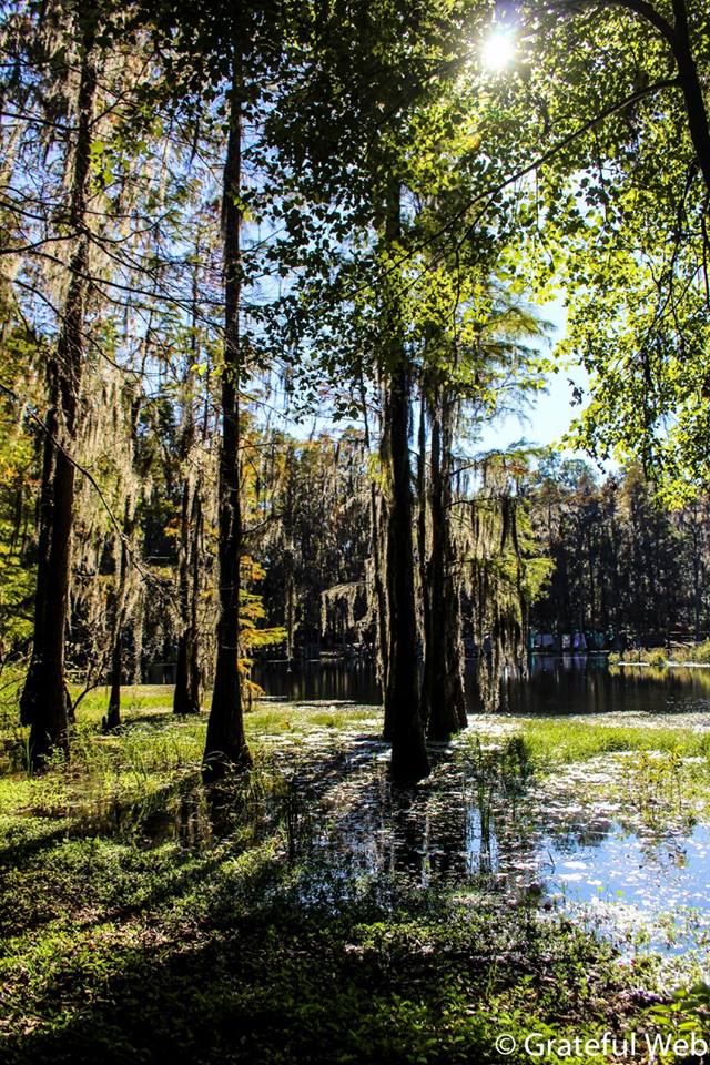 The Spirit of Suwannee Music Park