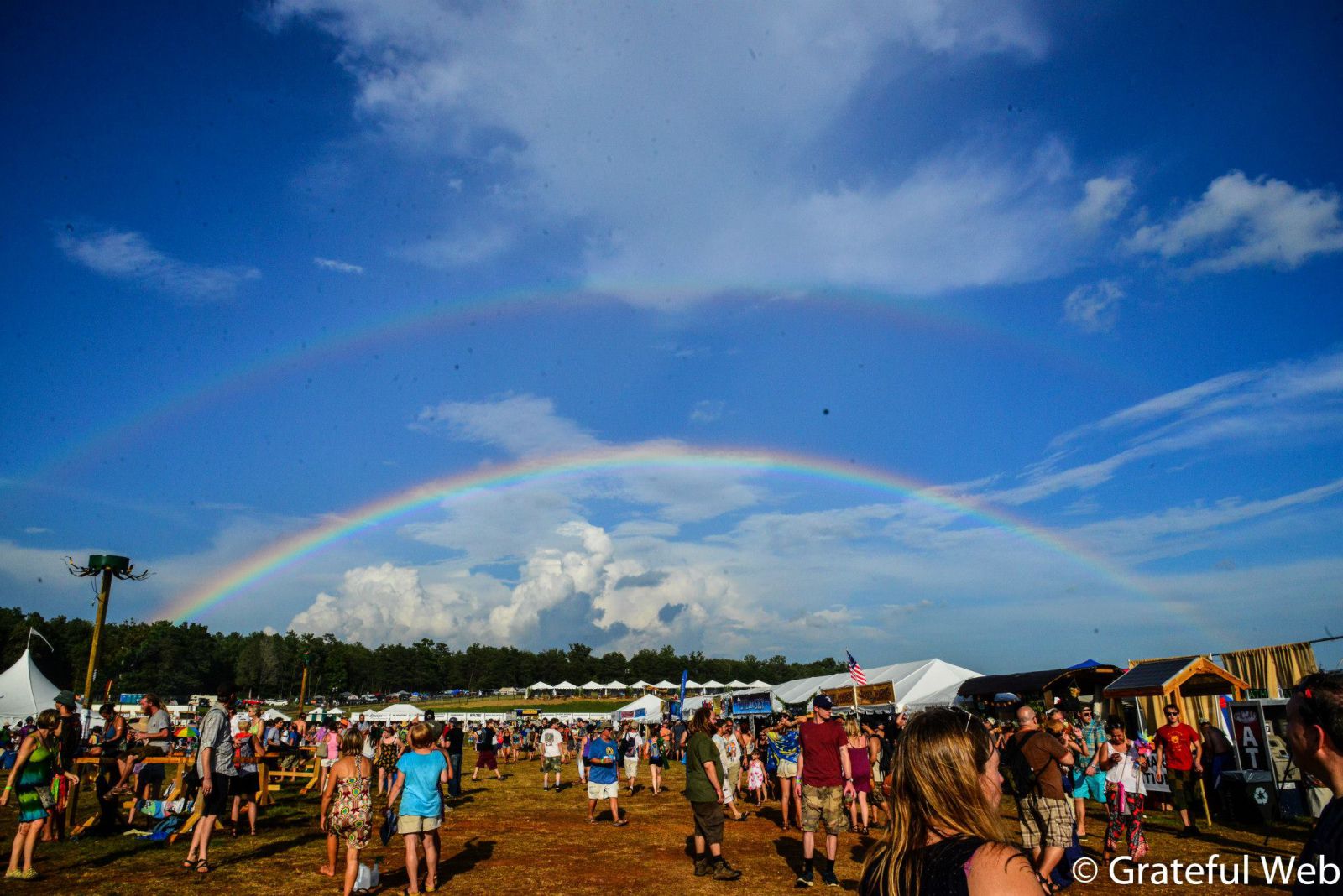 Lockn' (2014)