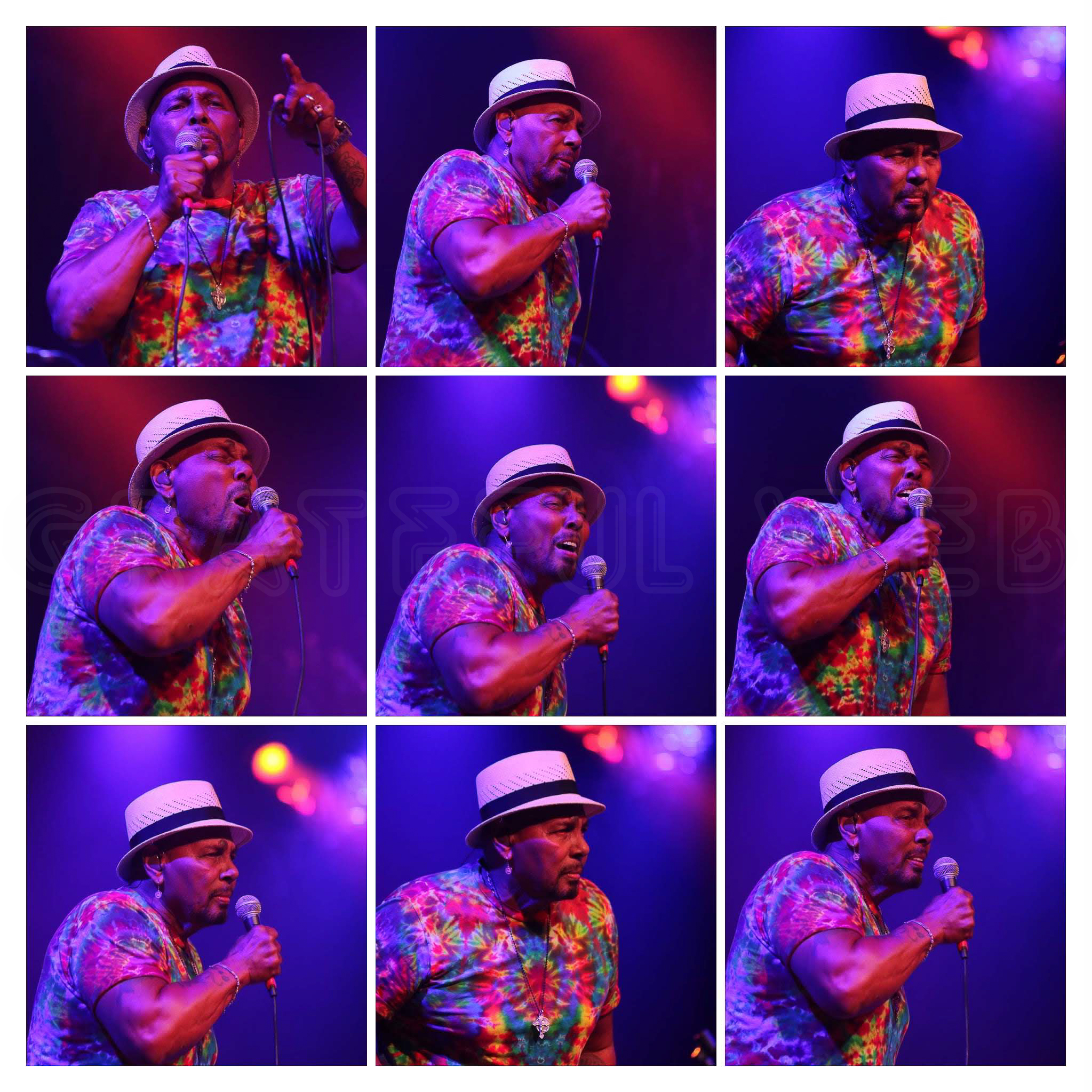 Aaron Neville | Arroyo Seco Weekend