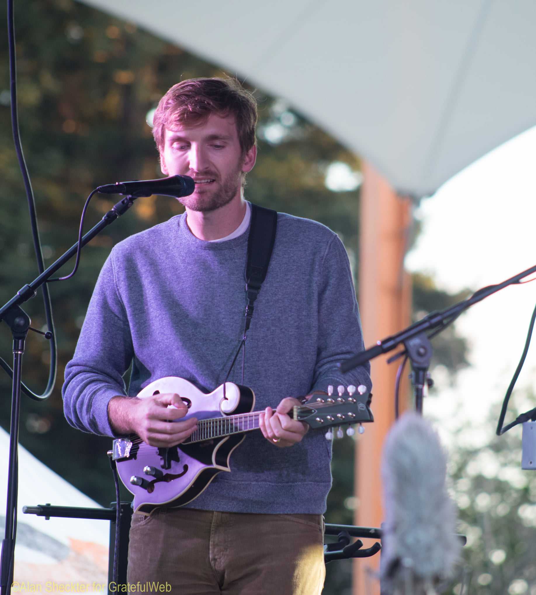 Brian Lesh | Tree of Life Band