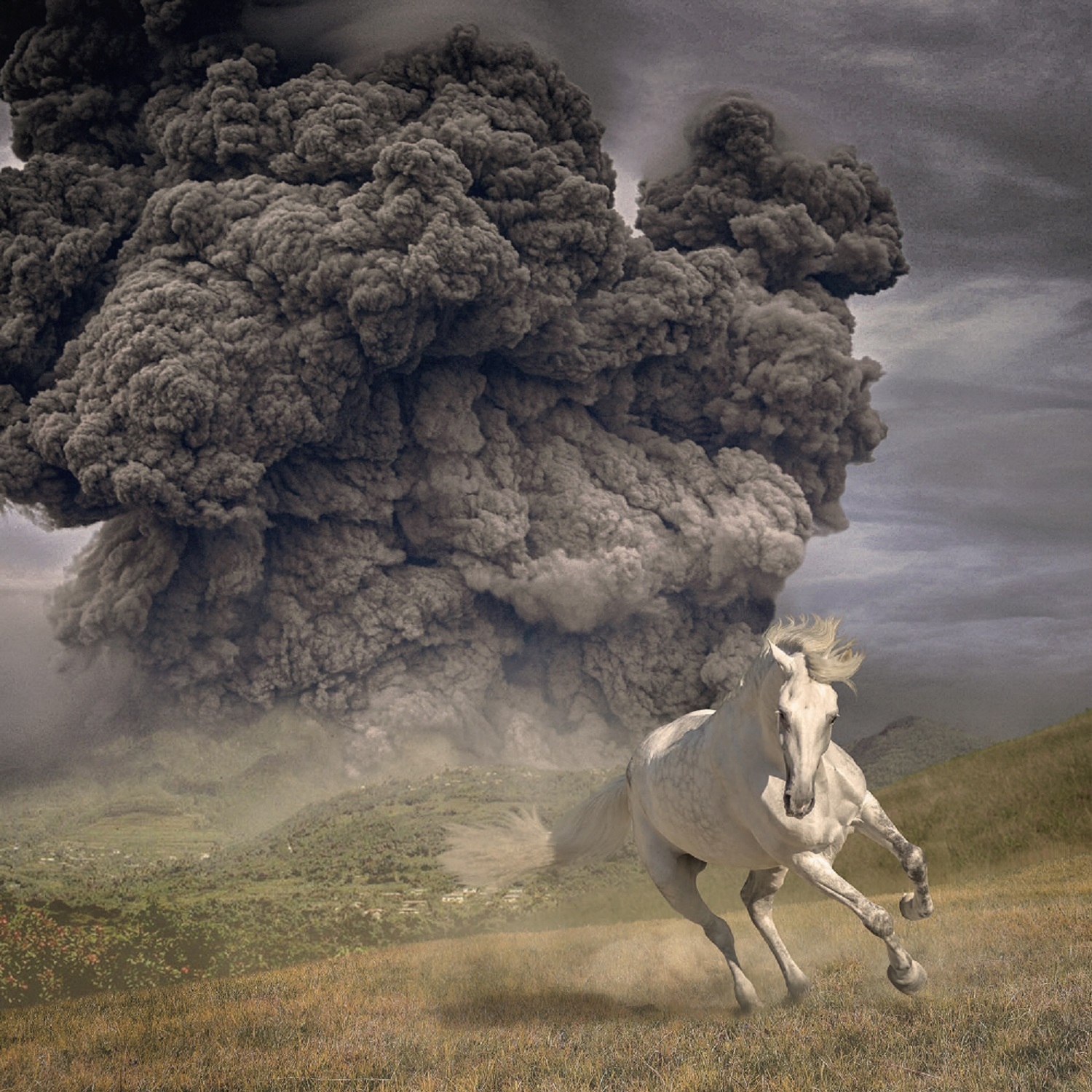 The White Buffalo: Year of the Dark Horse