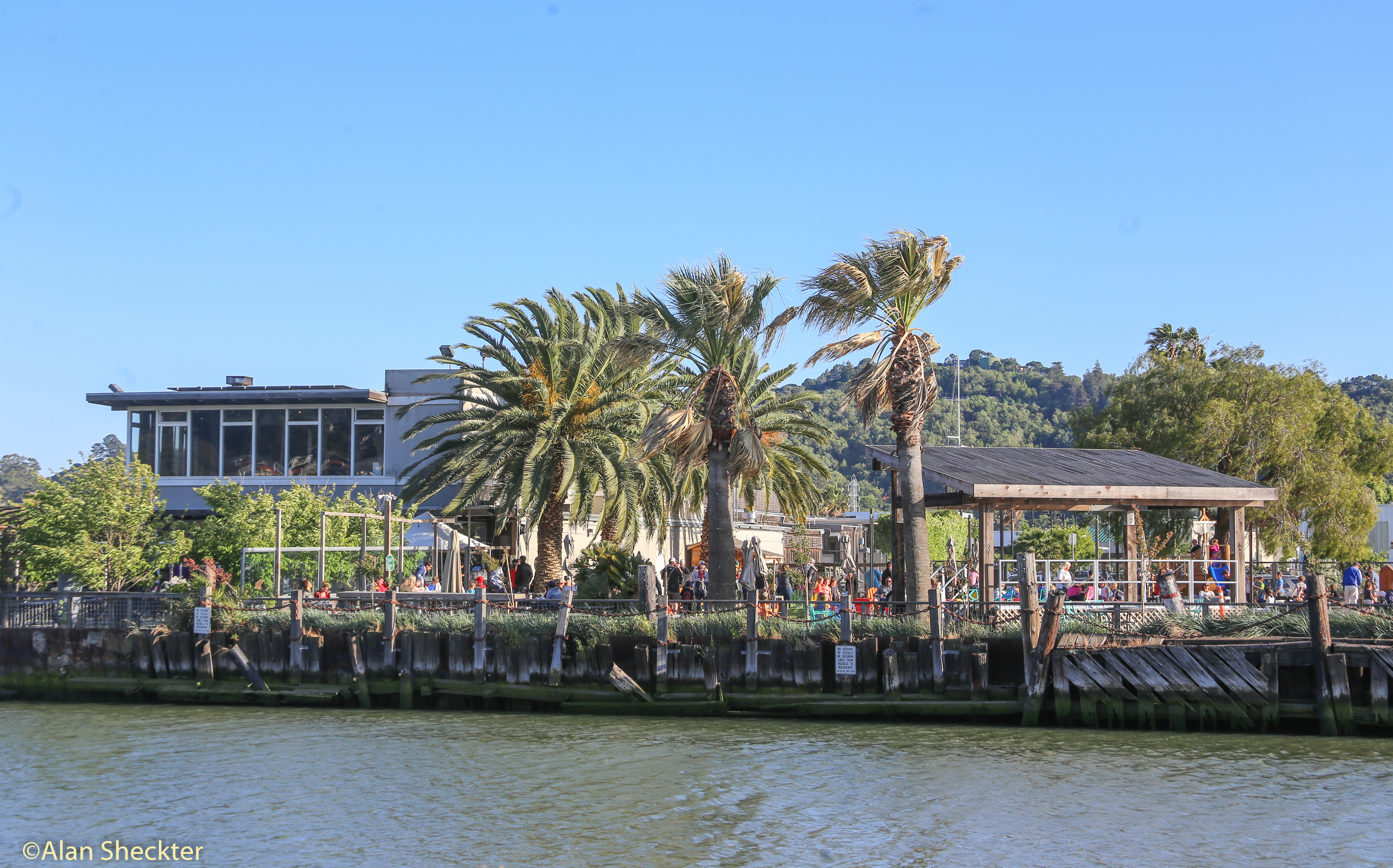 Terrapin Crossroads from across the San Rafael Creek, May 14, 2017