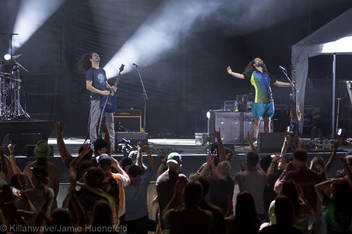 Pigeons Playing Ping Pong | Westville Music Bowl