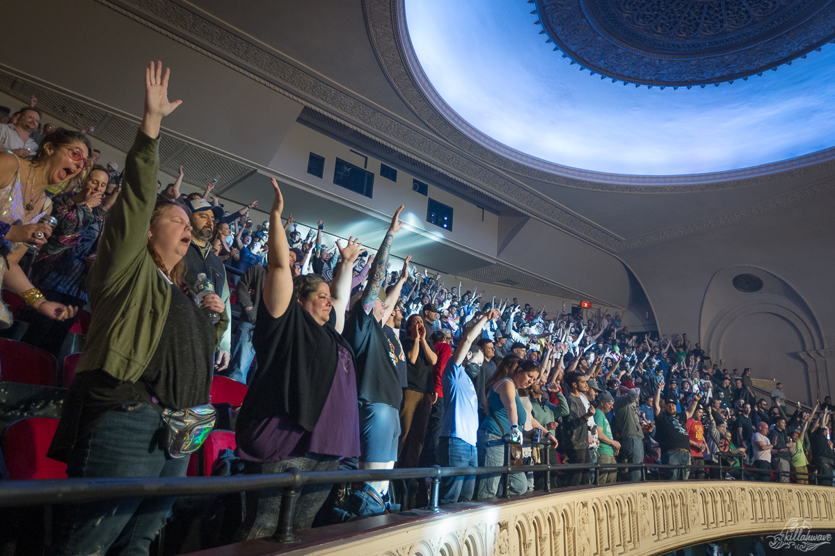 Fans soaking up the vintage tunes | Disco Biscuits