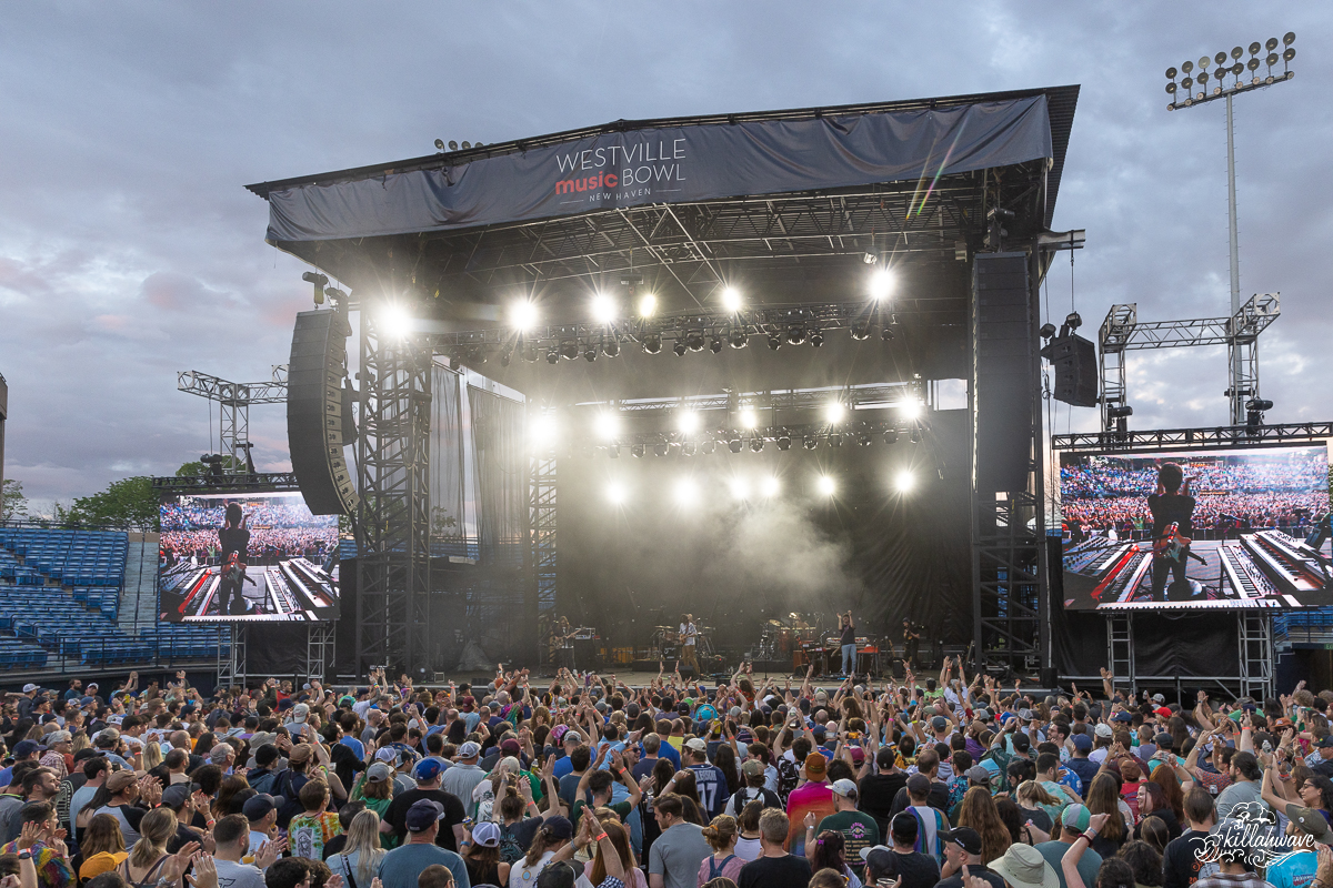 Westville Music Bowl | New Haven, CT