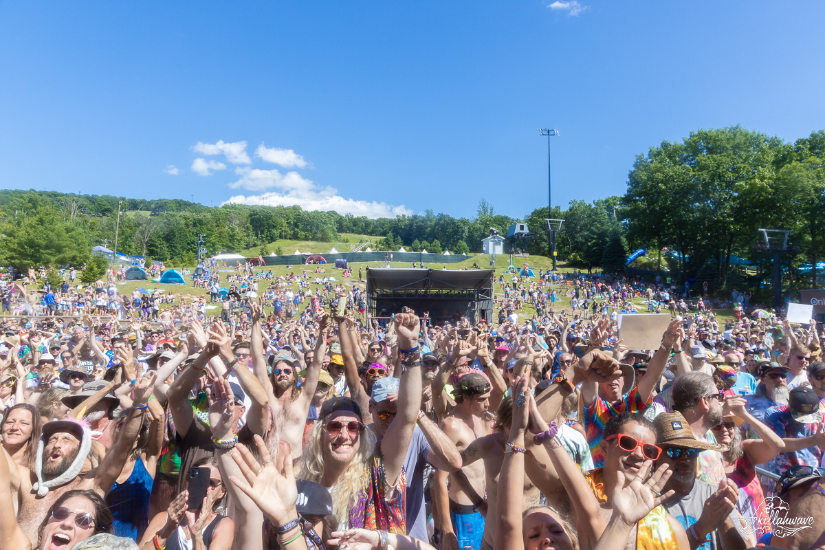 Dogs In A Pile had a huge crowd on the final day | Peach Music Fest