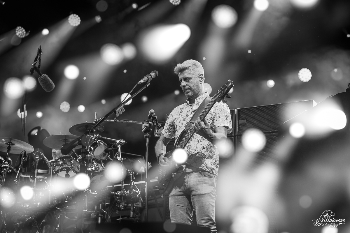 Bassist Mike Gordon | Phish