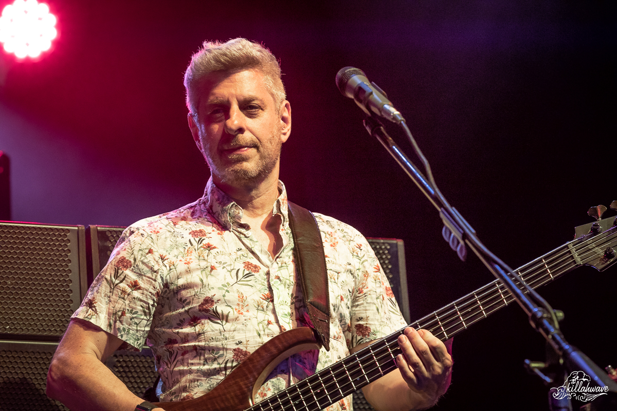 Bassist Mike Gordon | Bethel, NY