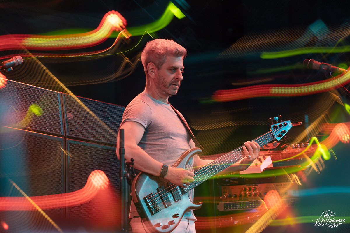 Bassist Mike Gordon | Phish