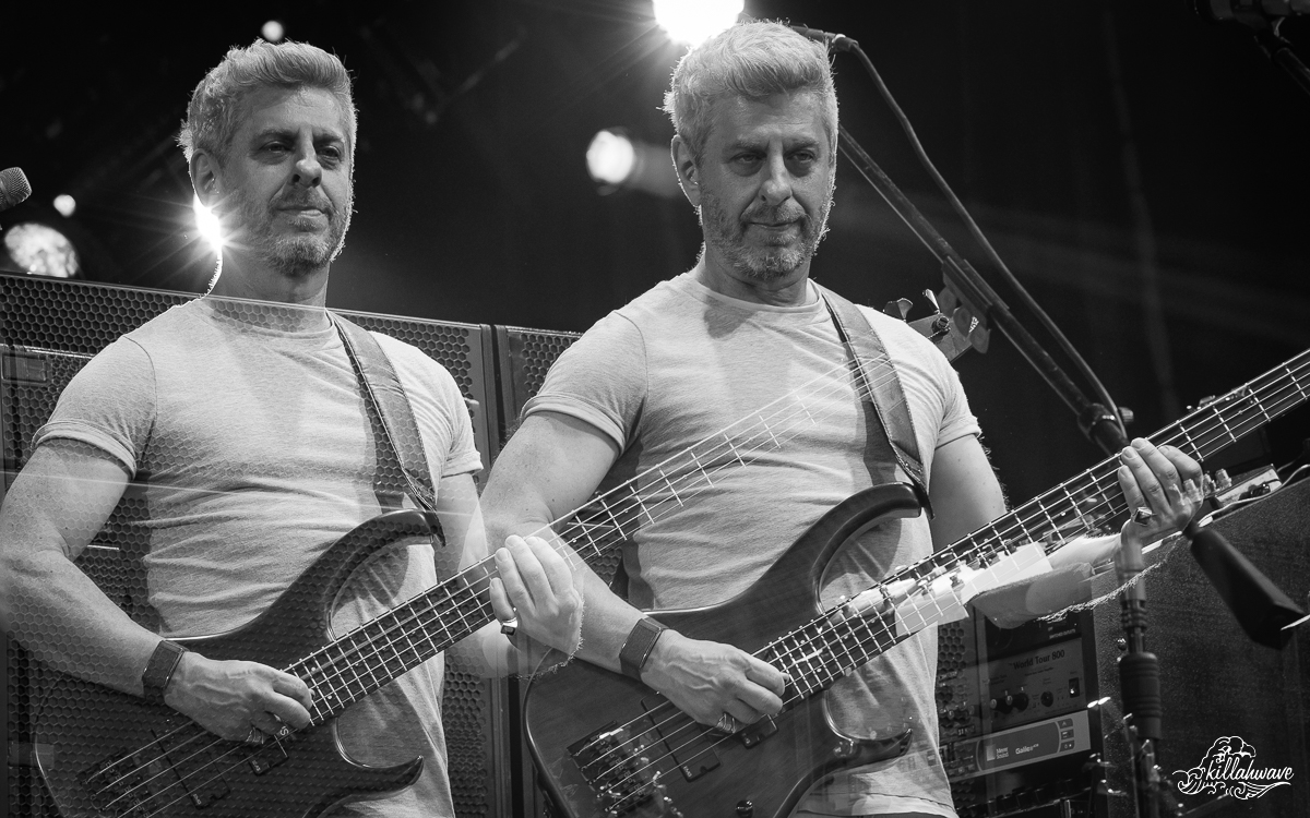 Bassist Mike Gordon | Columbia, MD