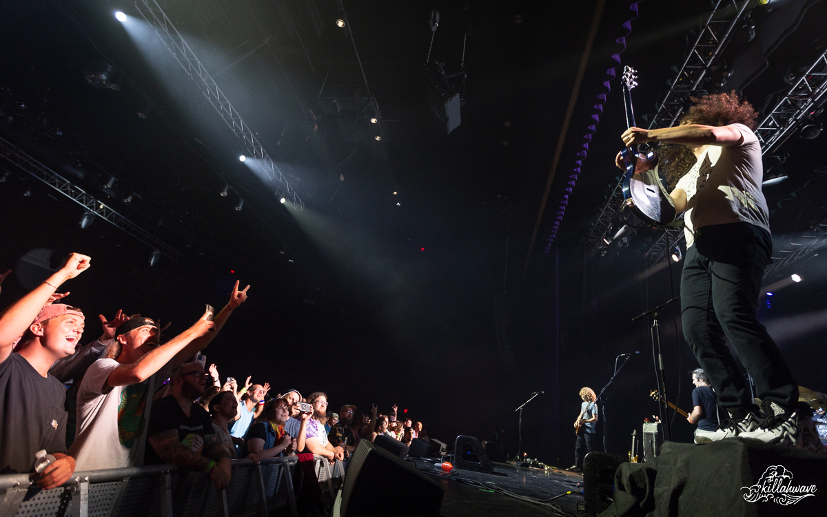 Fans loving the show | Pigeons Playing Ping Pong